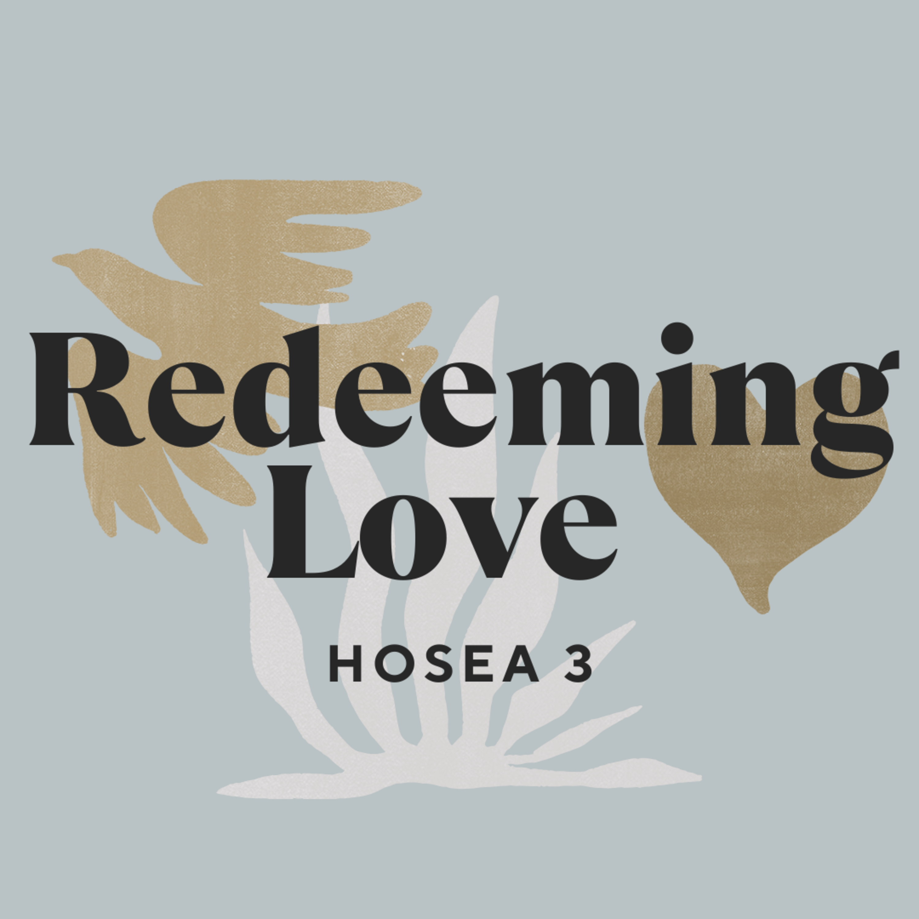 SHORE COMMUNITY CHURCH