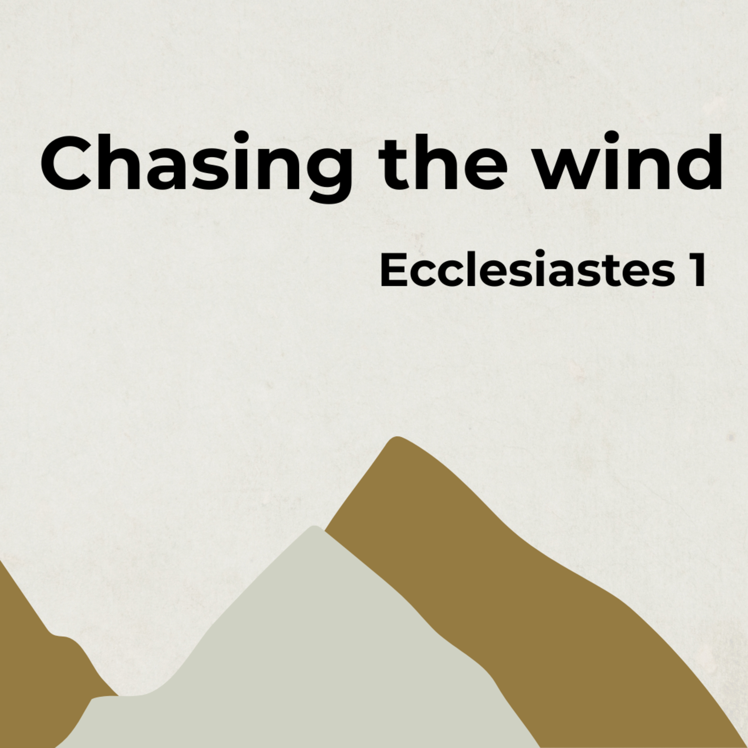 CHASING THE WIND - Ecclasties 1