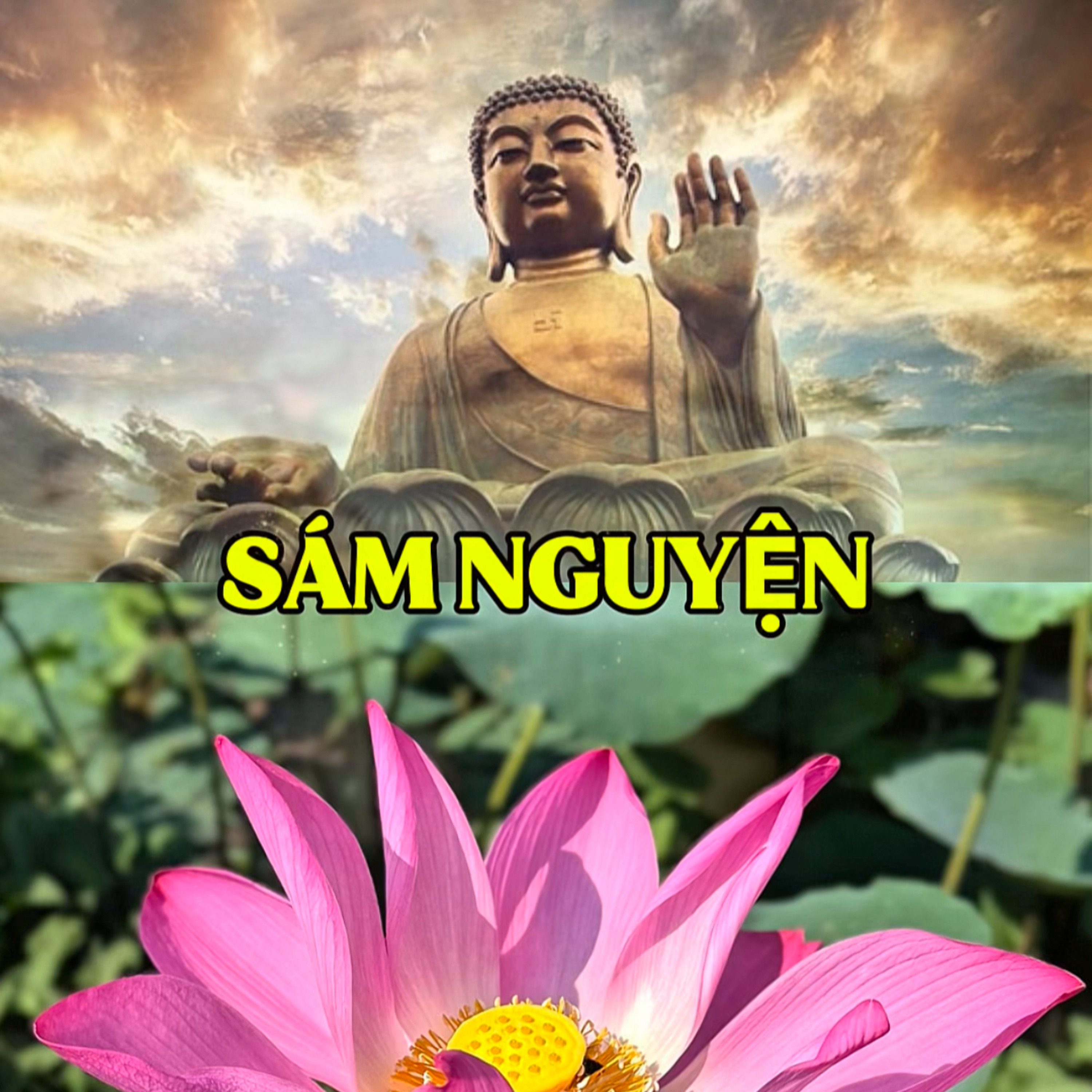Đường Về Tỉnh Thức
