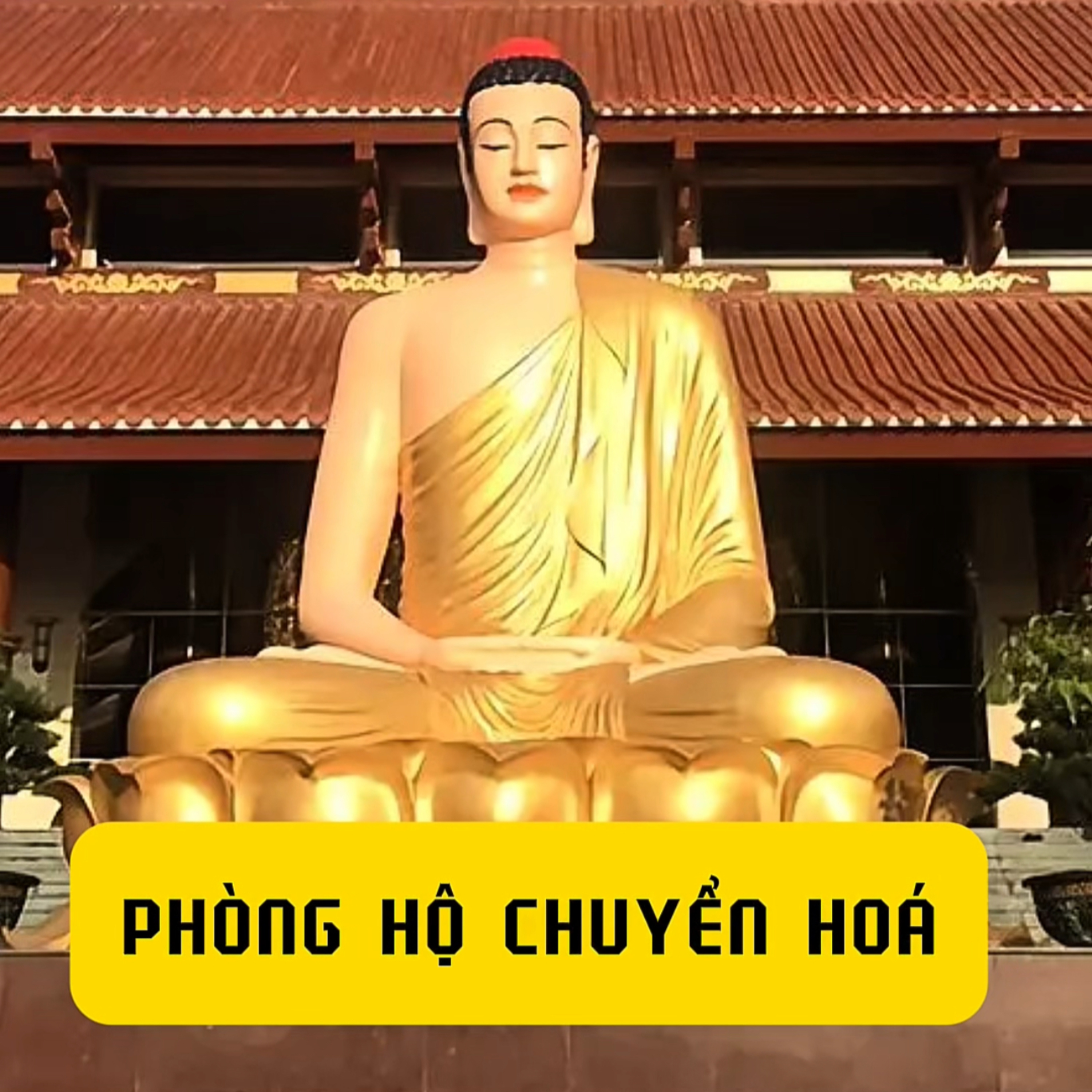 Đường Về Tỉnh Thức