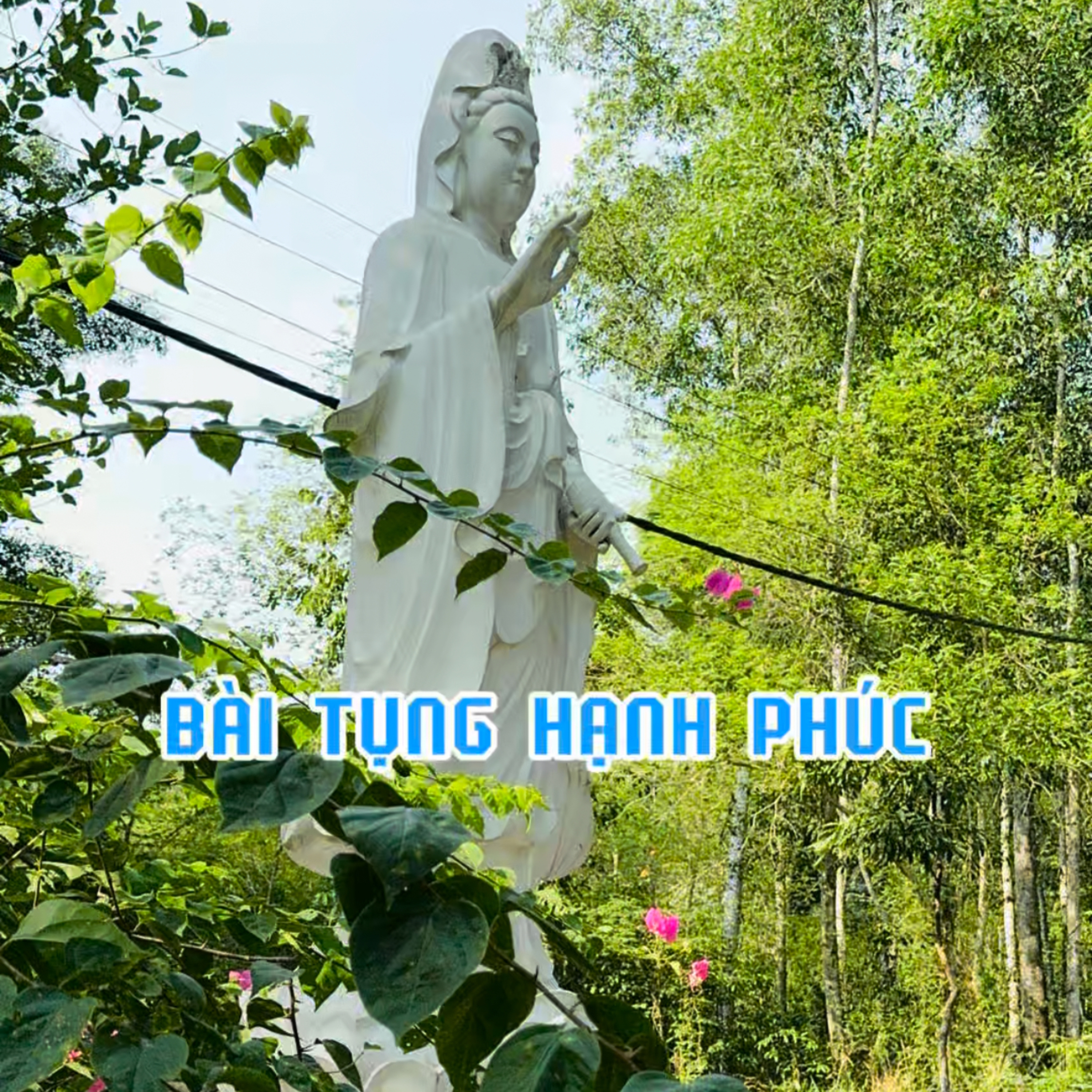 Đường Về Tỉnh Thức