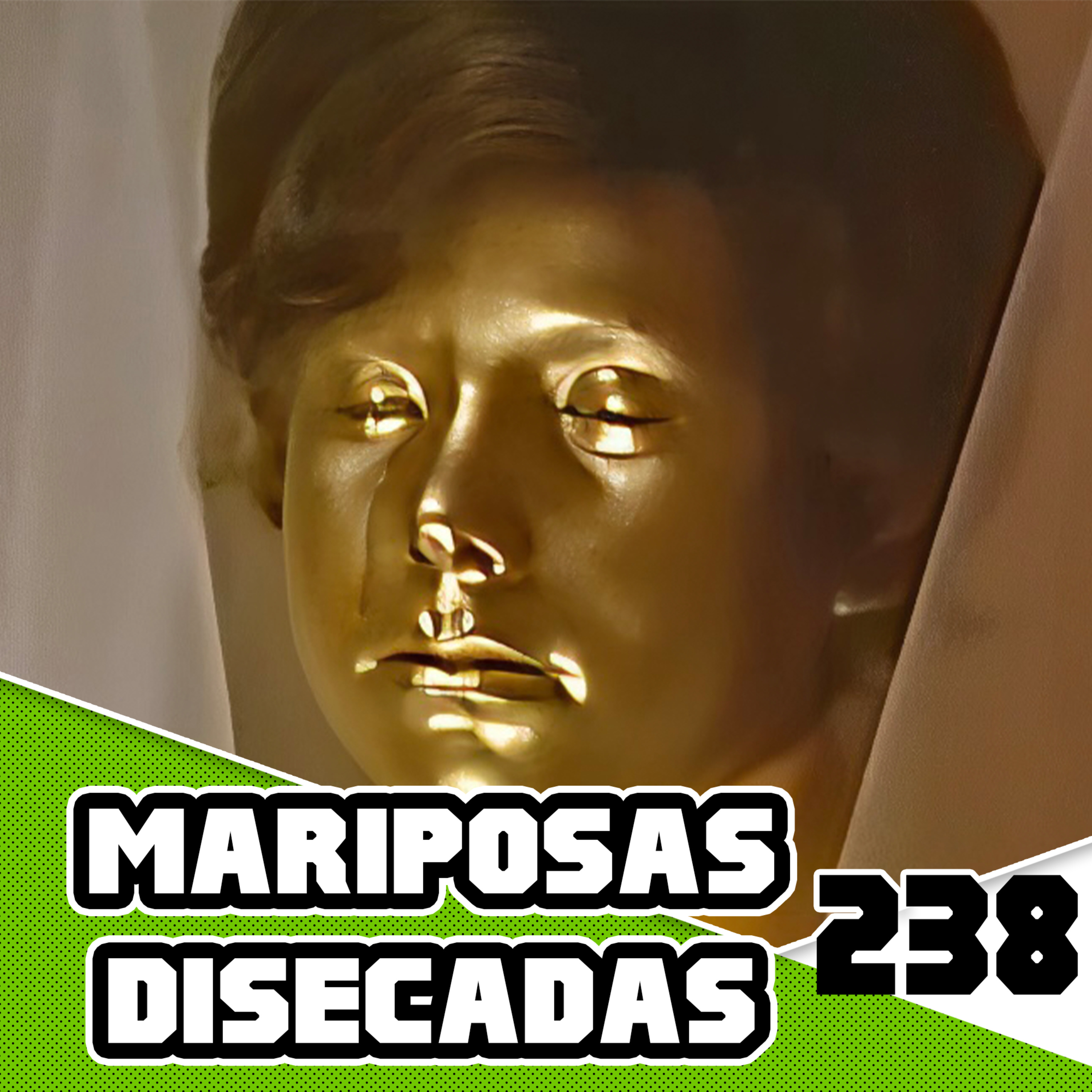 Mariposas Disecadas Es Incomoda