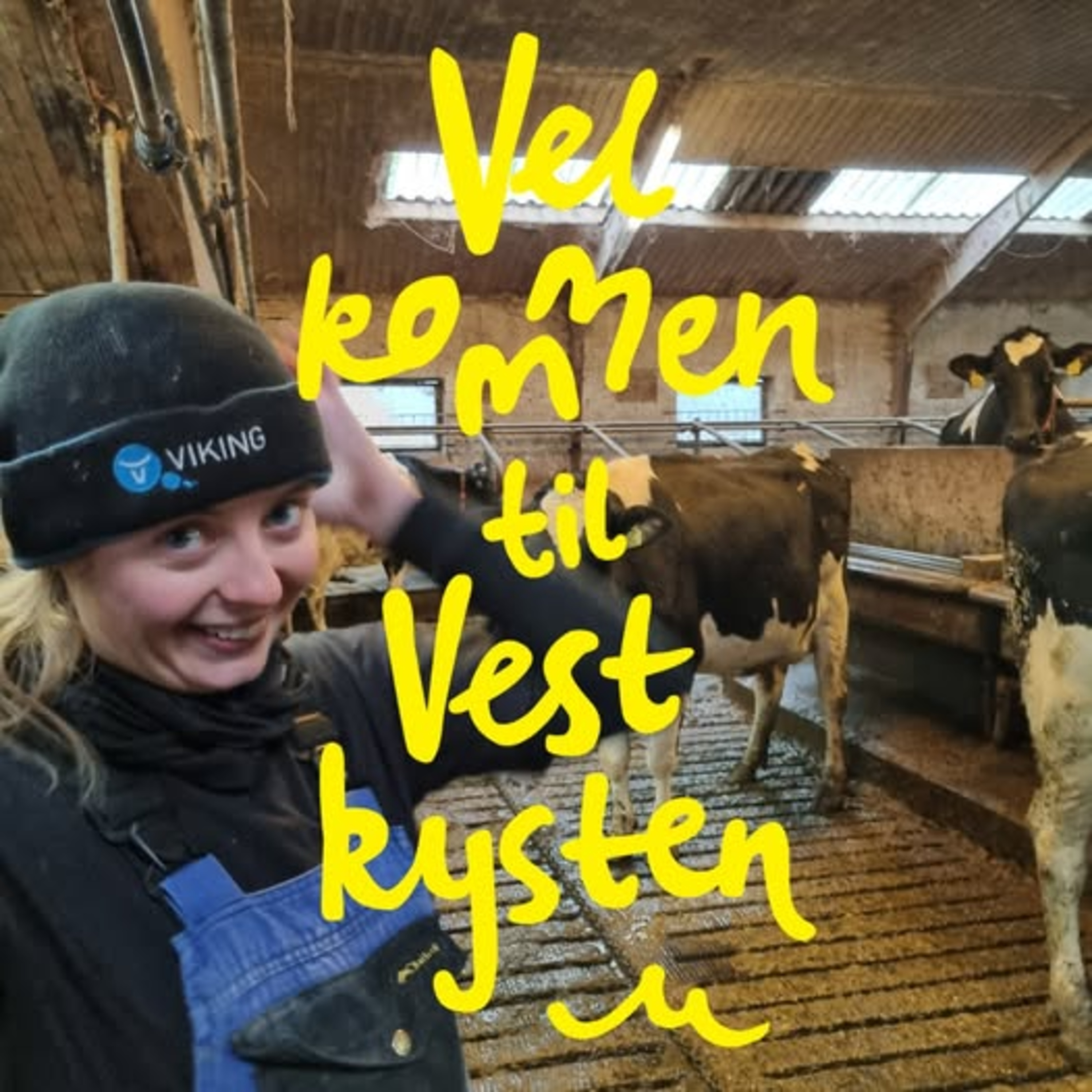 Velkommen til Vestkysten