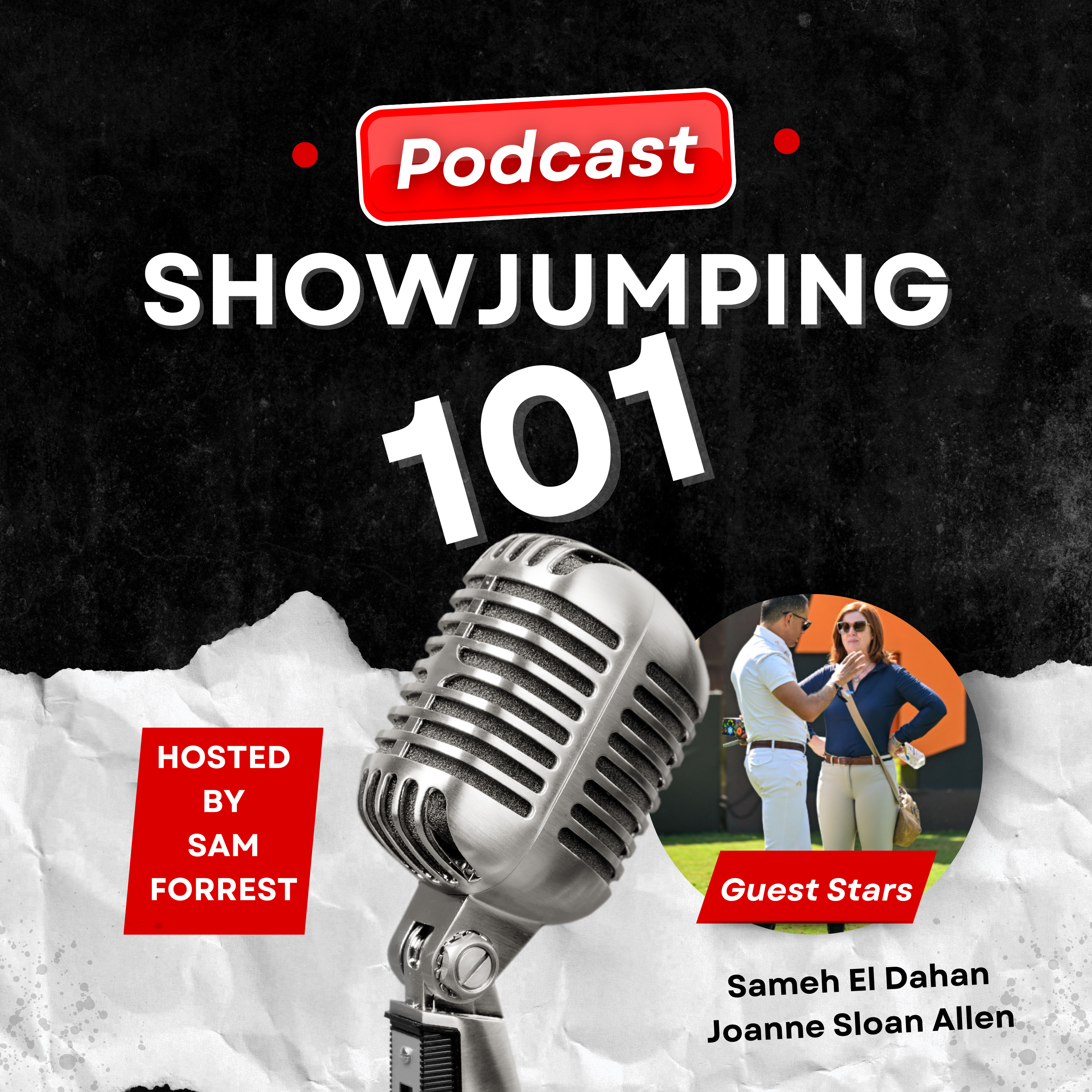 Navigating the Minefield of Vettings! A frank discussion about the pre-purchase exam with Marcus Swail, leading Irish team vet. Episode 8.