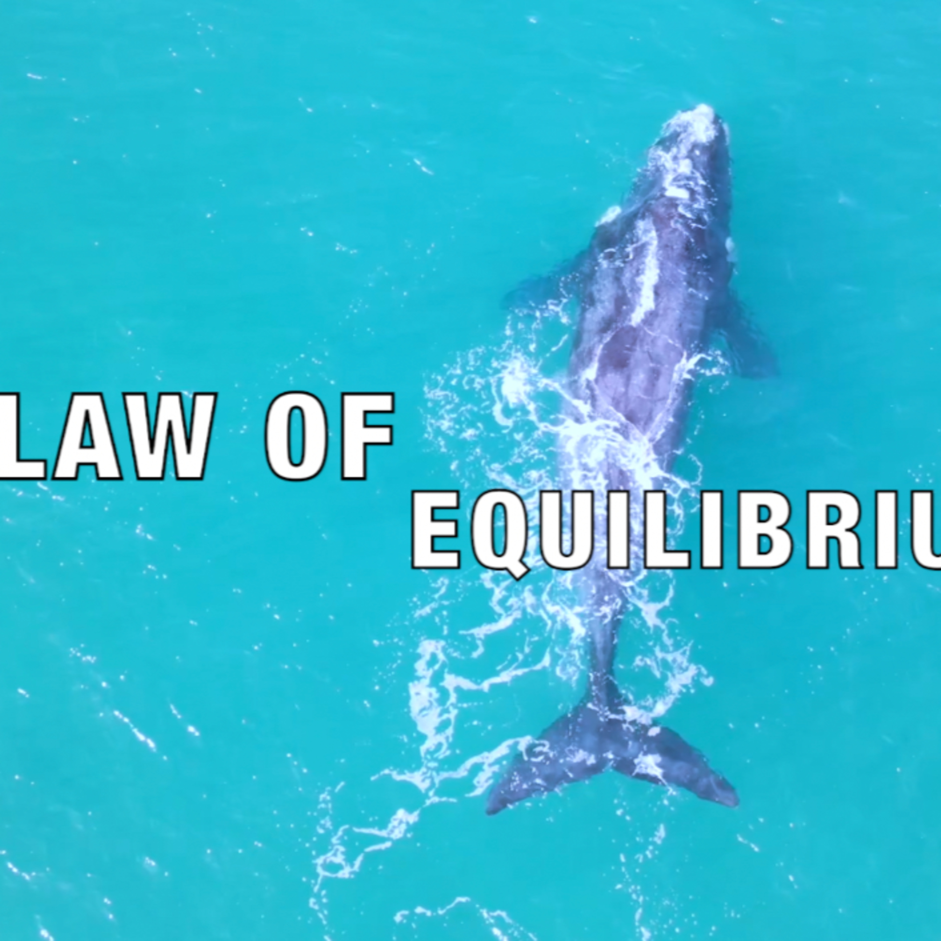 The law of Spiritual Equilibrium episode artwork