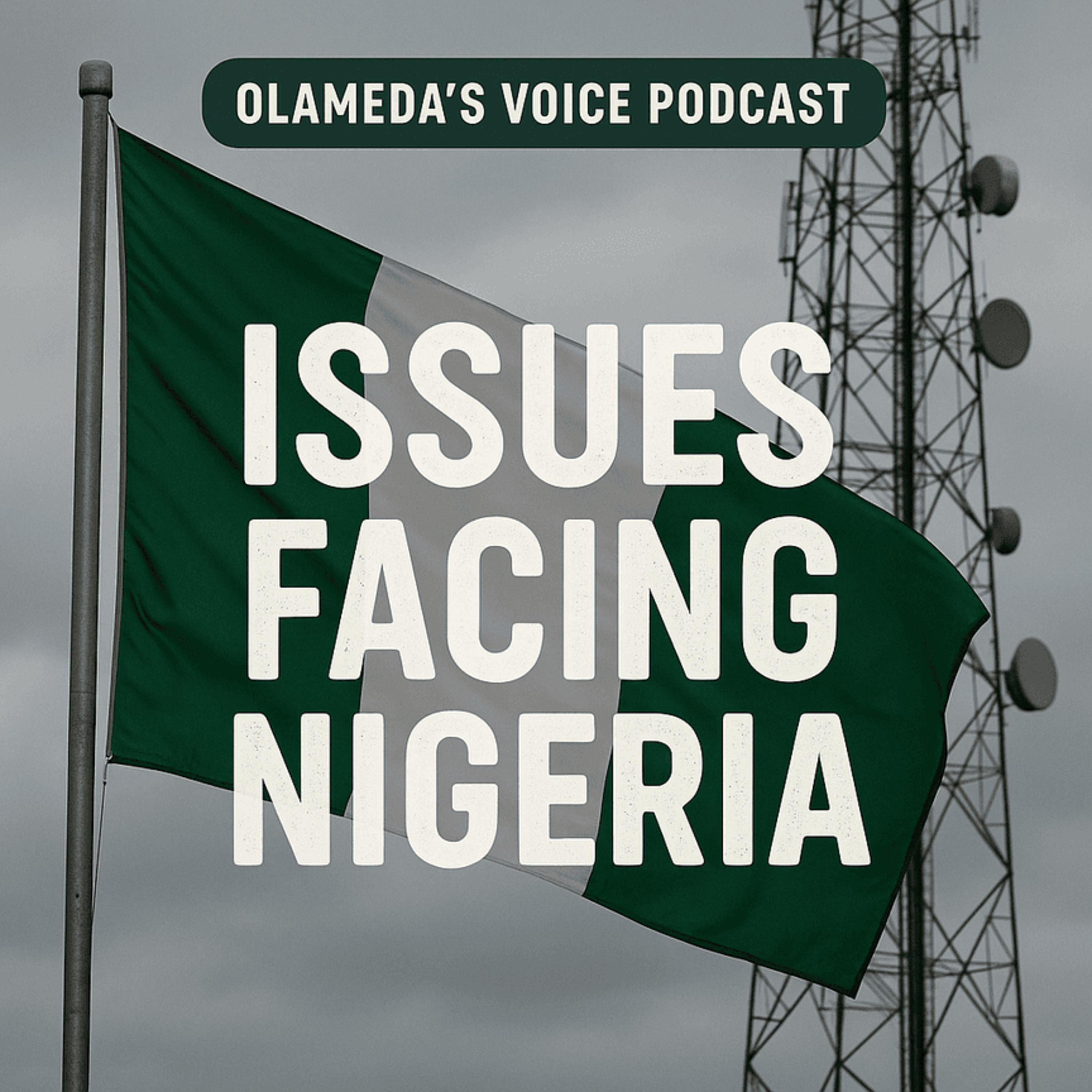 Navigating Nigeria's Challenges: A Candid Discussion