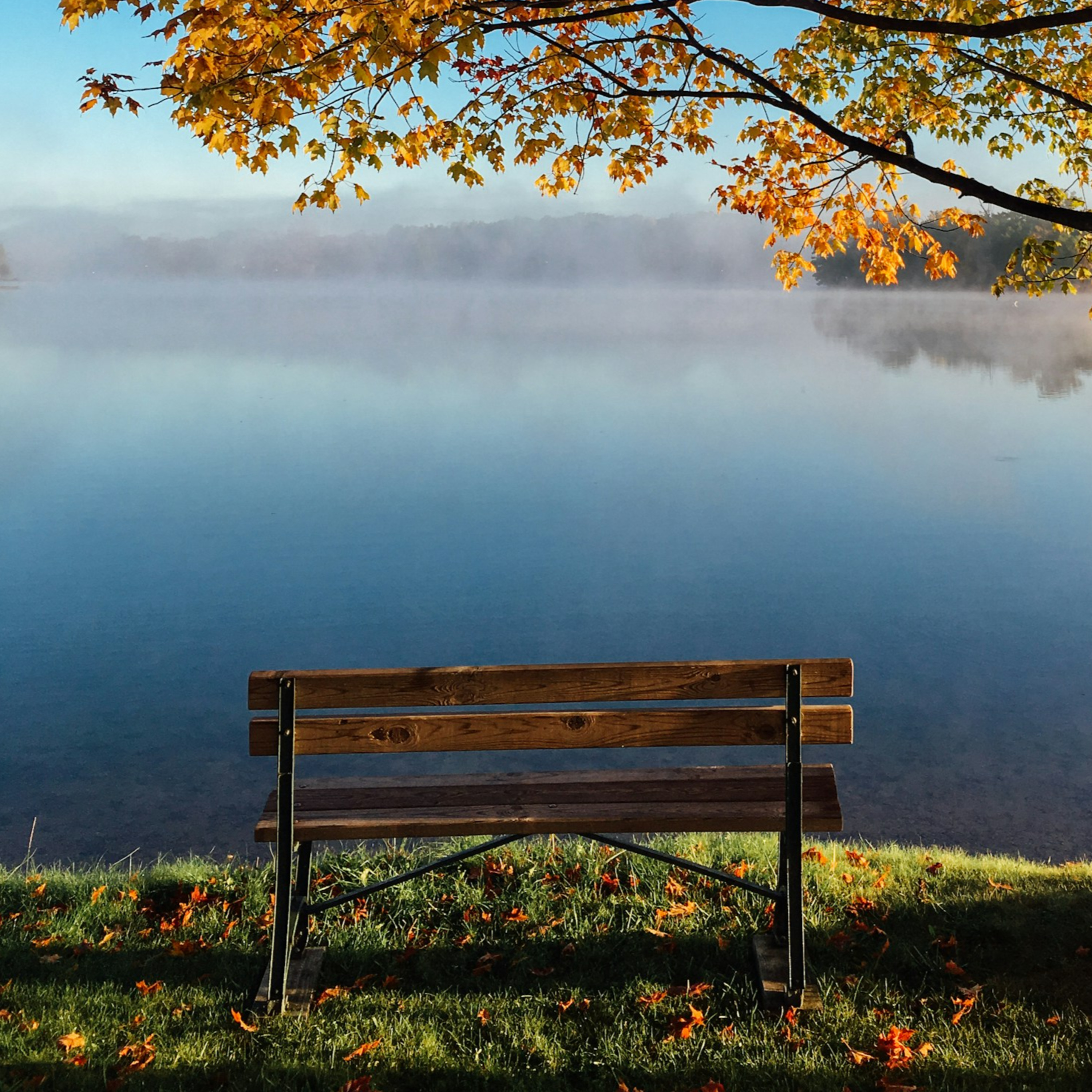 20251209 - Letting go