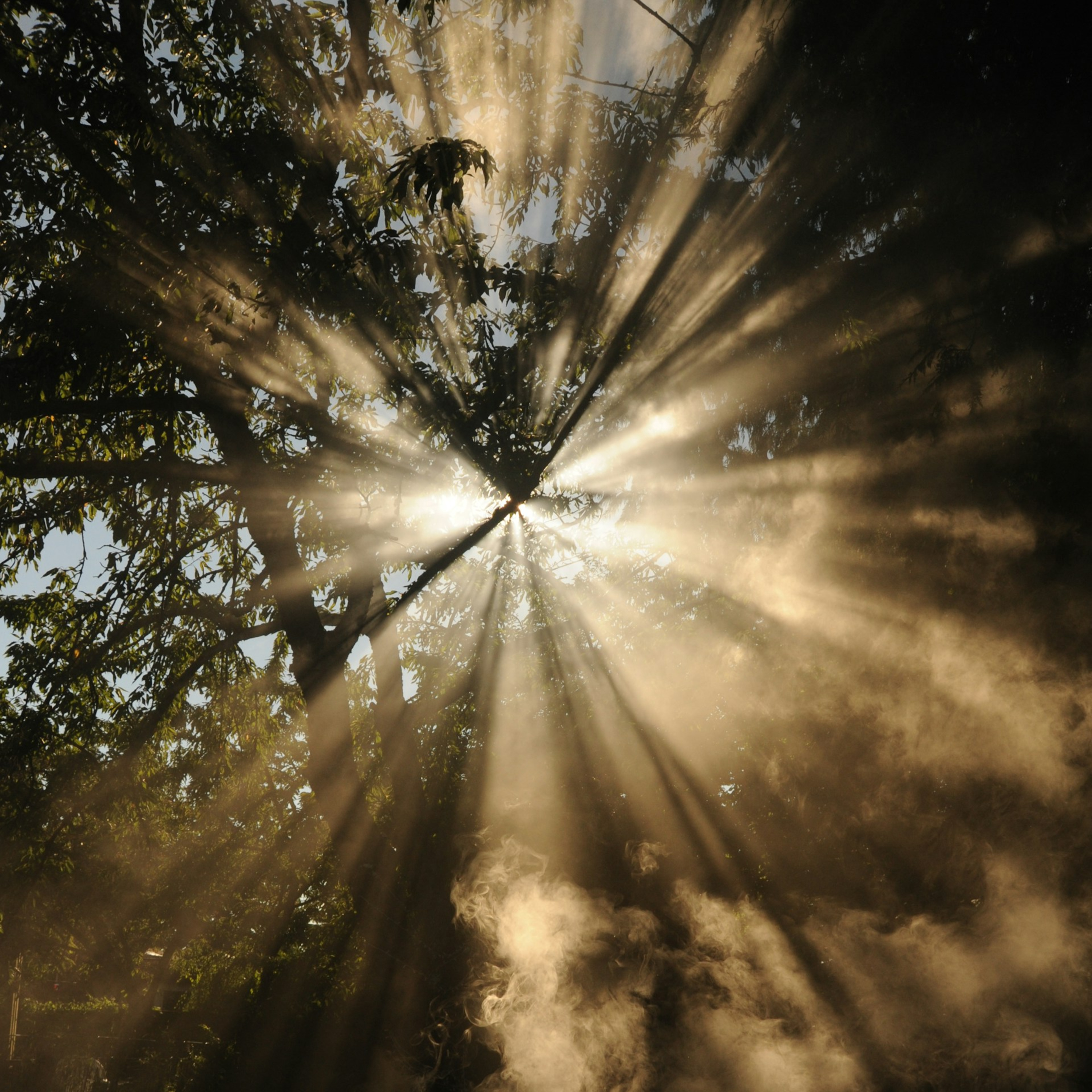 20260113 - Half smile body scan