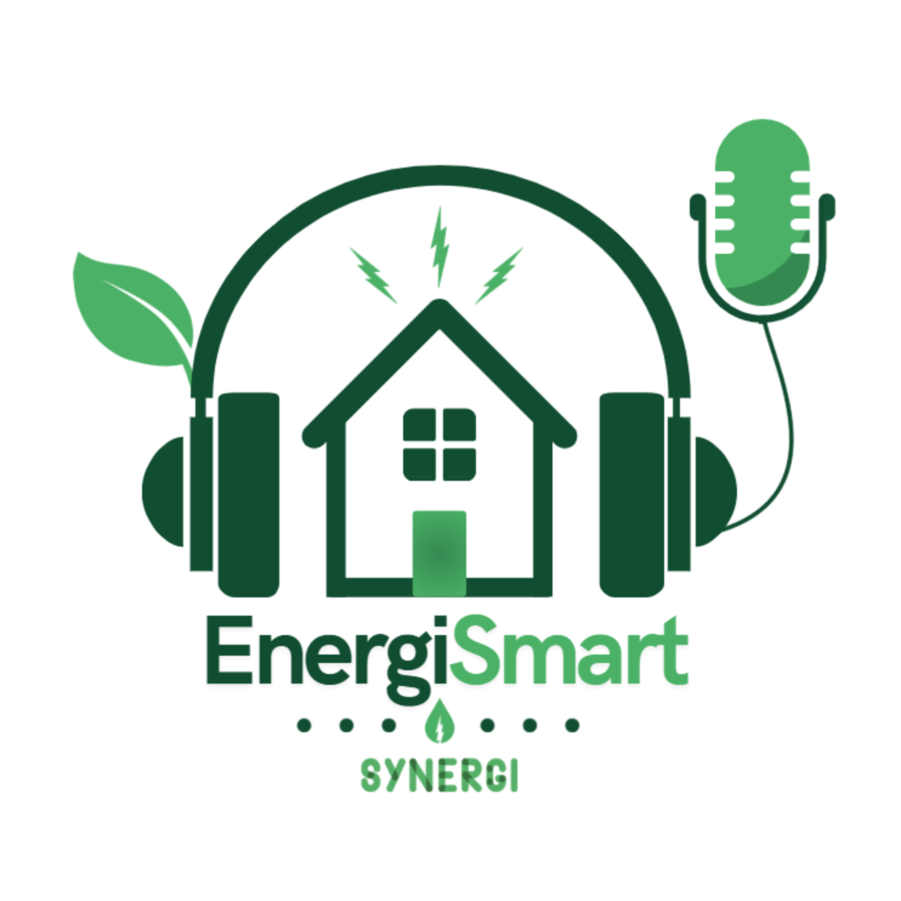 Energi og indeklima: Den energivenlige skole