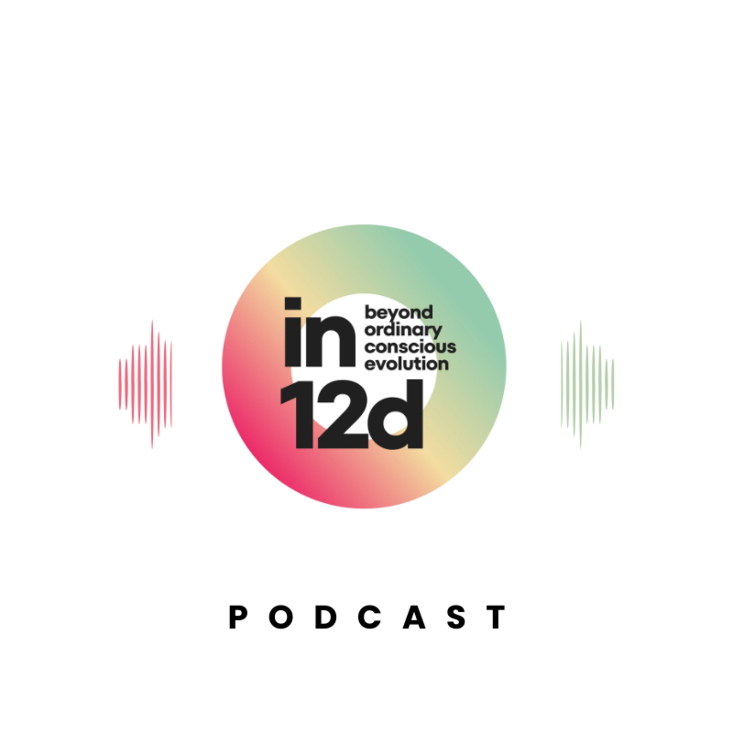in12d podcast
