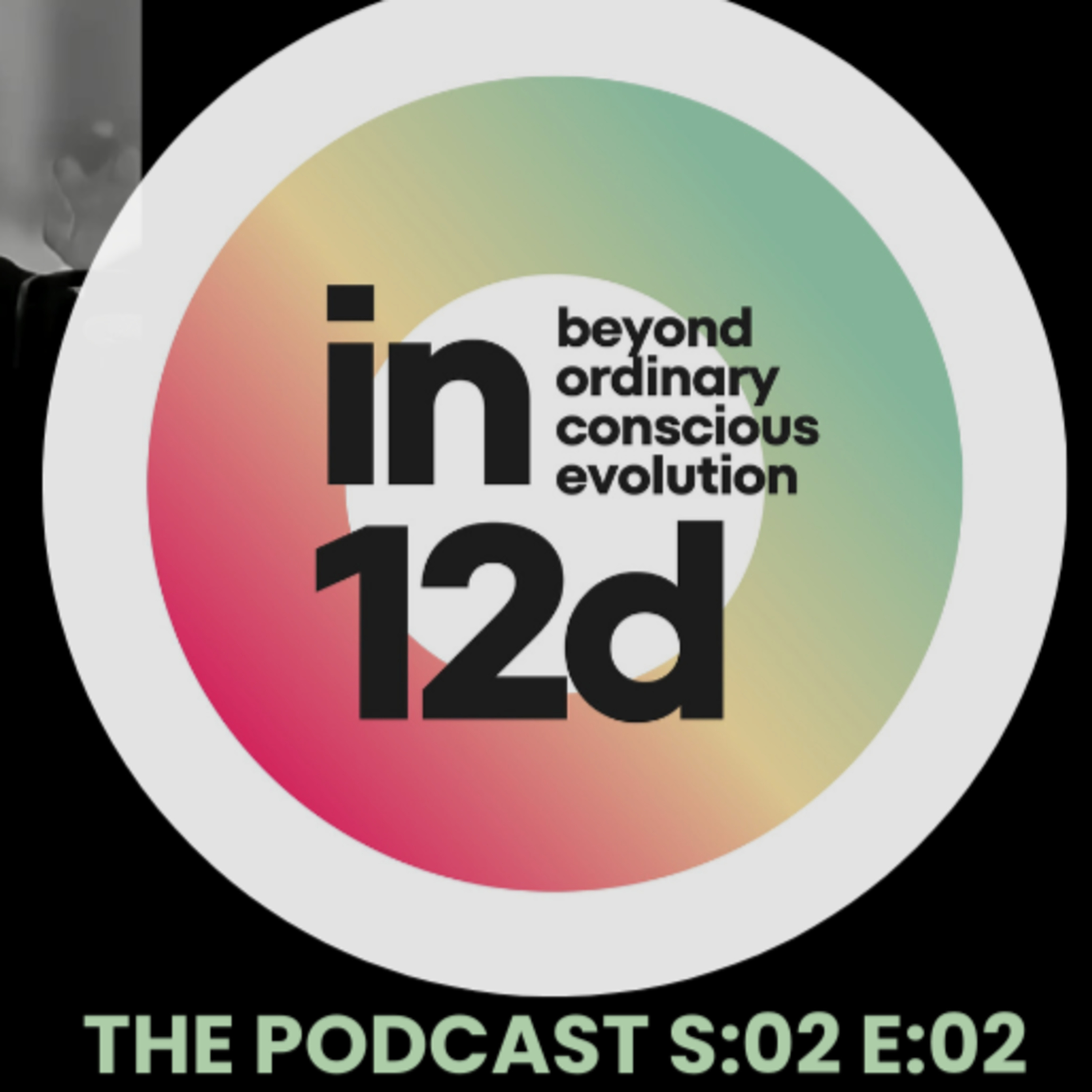 in12d podcast