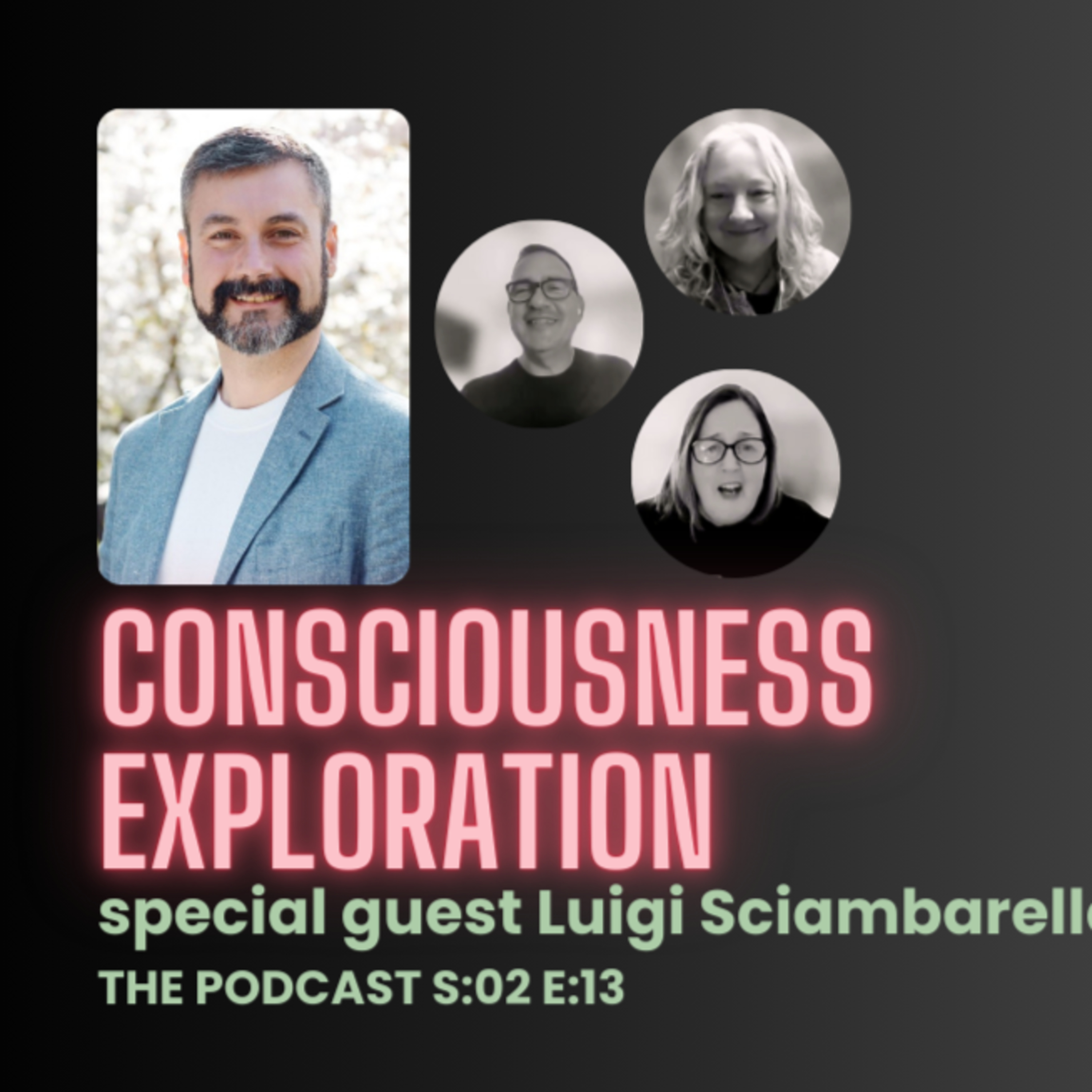 in12d podcast