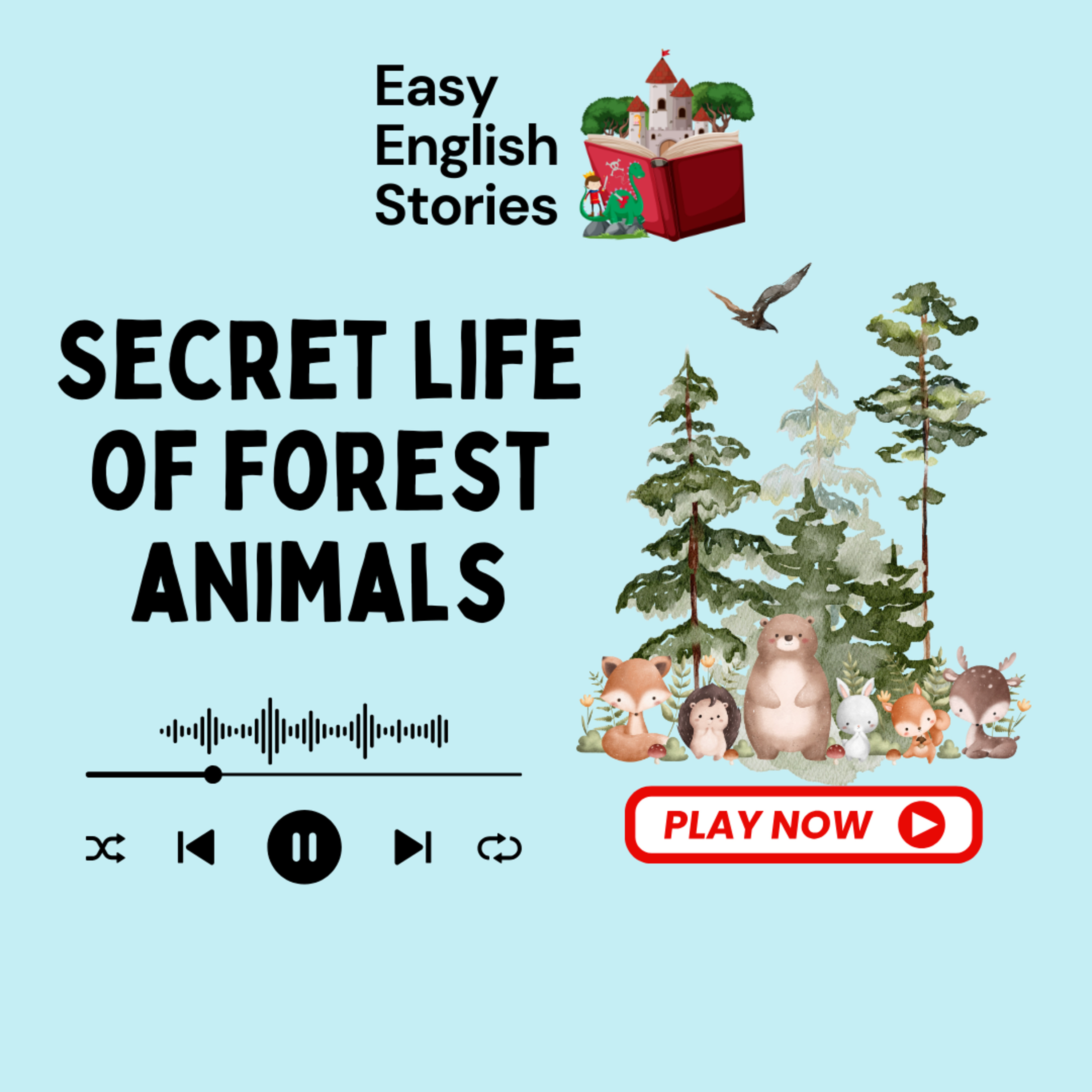 The Secret Life of Forest Animals | Easy English Stories – Slow & Clear Listening Practice