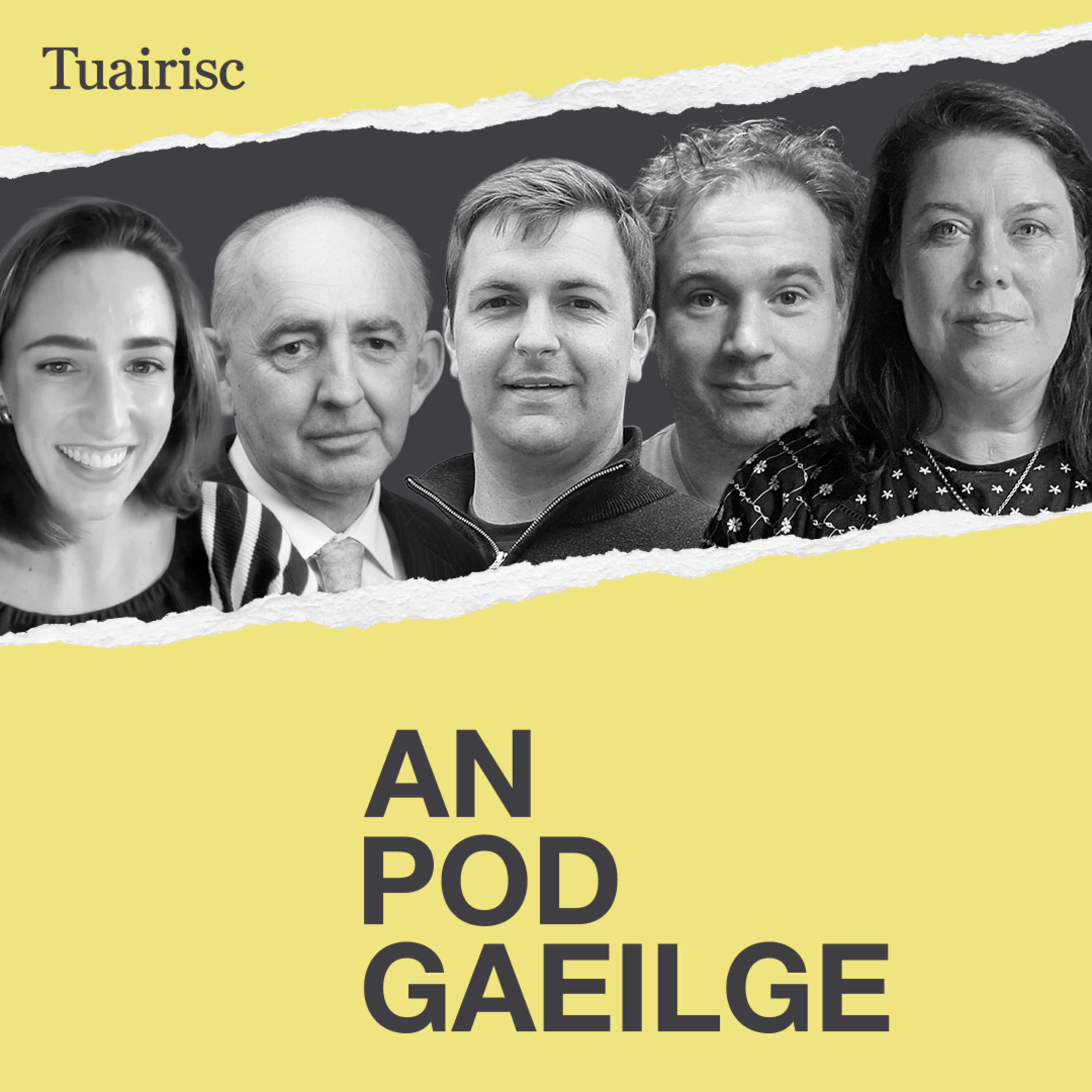 Ar chóir do Chonradh na Gaeilge a bheith ag ‘gníomhú i dtreo Éire Aontaithe’? episode artwork