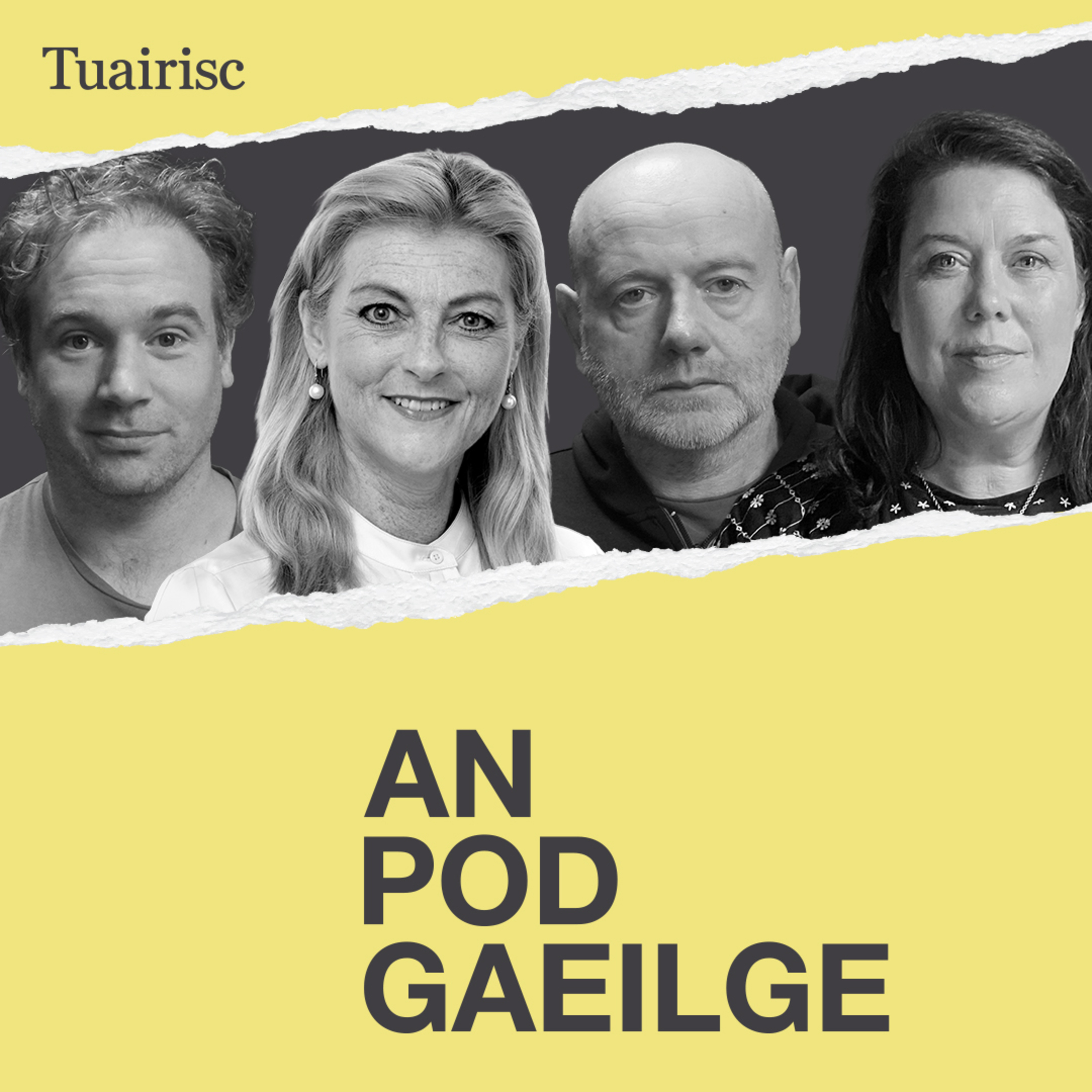 ‘Ba cheart don rialtas cárta na huachtaránachta a imirt ar son Gaeilge’ episode artwork