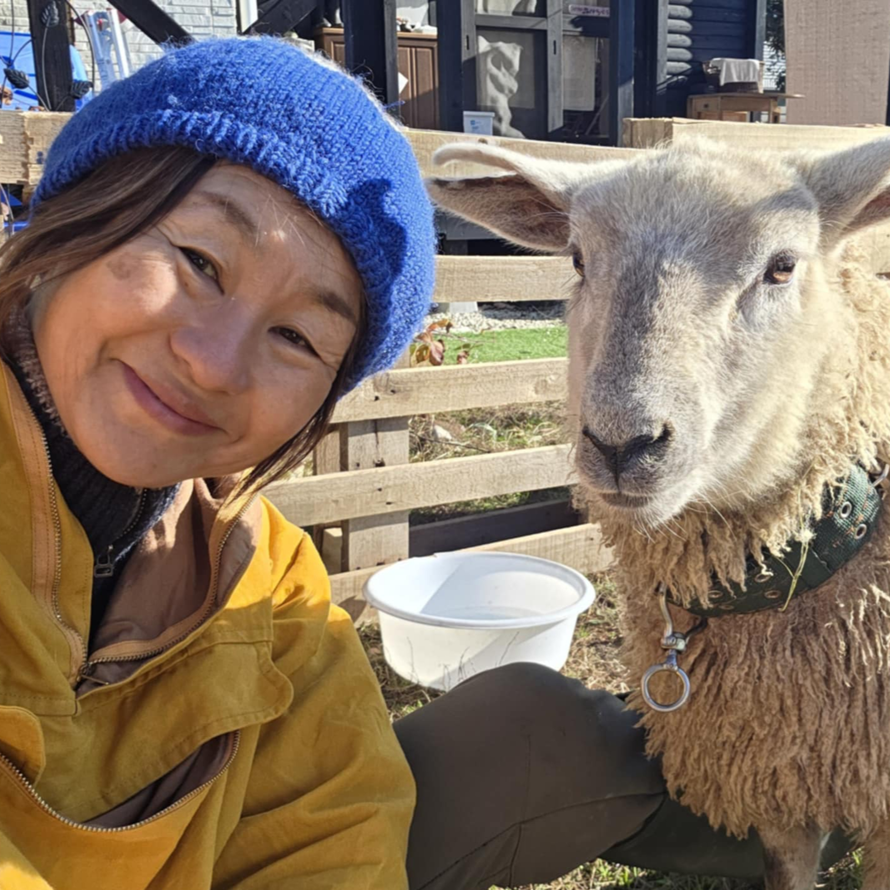 046 動物がいると、子どもは自分を整える〜羊が来て3ヶ月、里山で起きている“命の濃さ”〜【ゲスト：自然育児 森のわらべ多治見園 園長 浅井智子さん／聞き手：三陸駒舎 黍原豊】 episode artwork