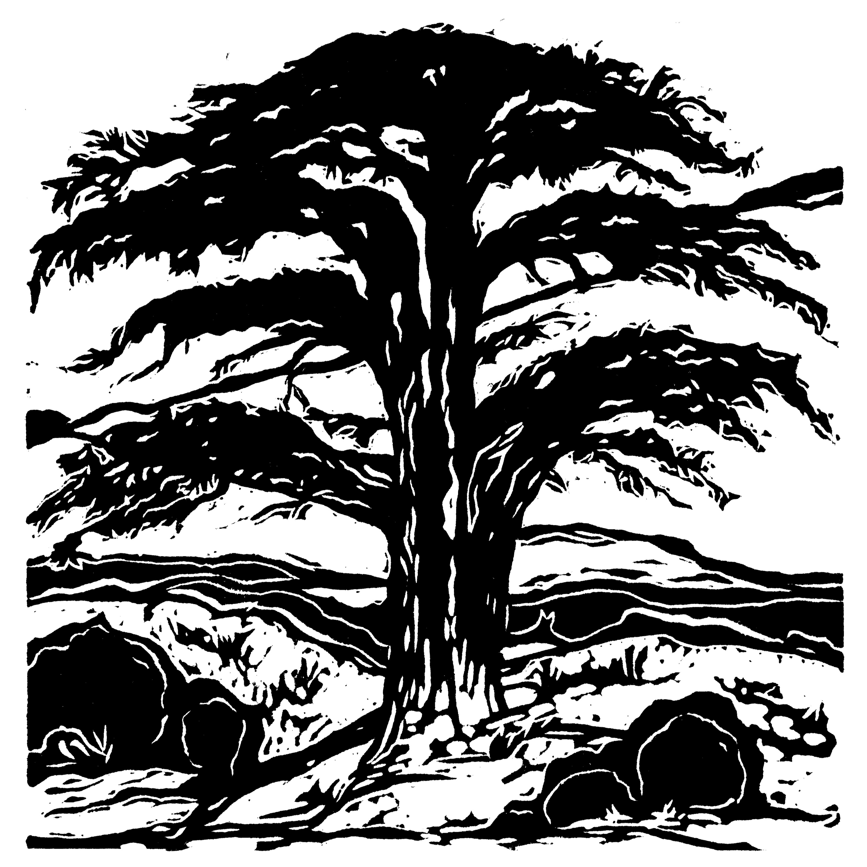The Bride and the Lamb 3: "Singleness and the Church" episode artwork