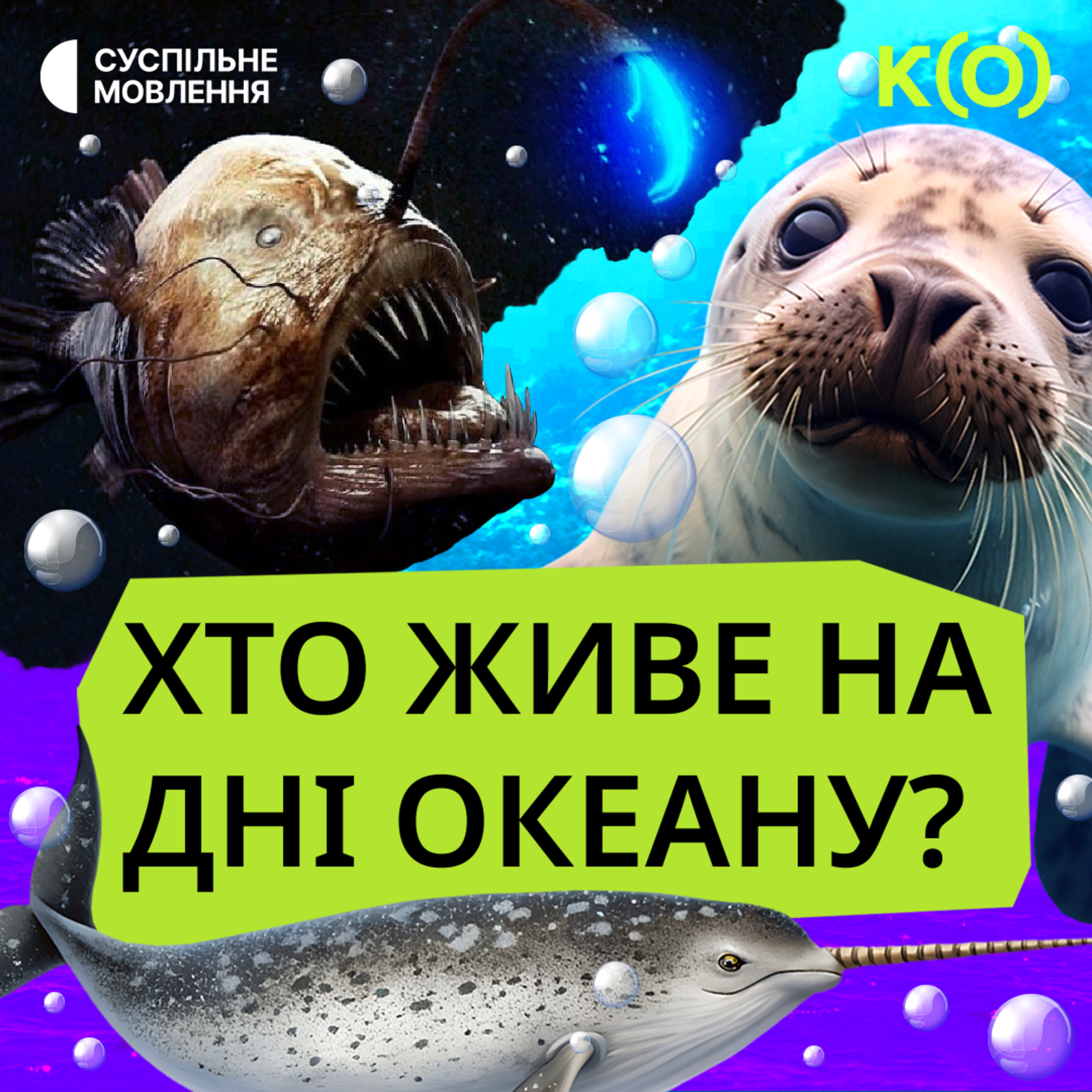 Про морську корову, єдинорога та риб, які світяться | ТА НЕВЖЕ?