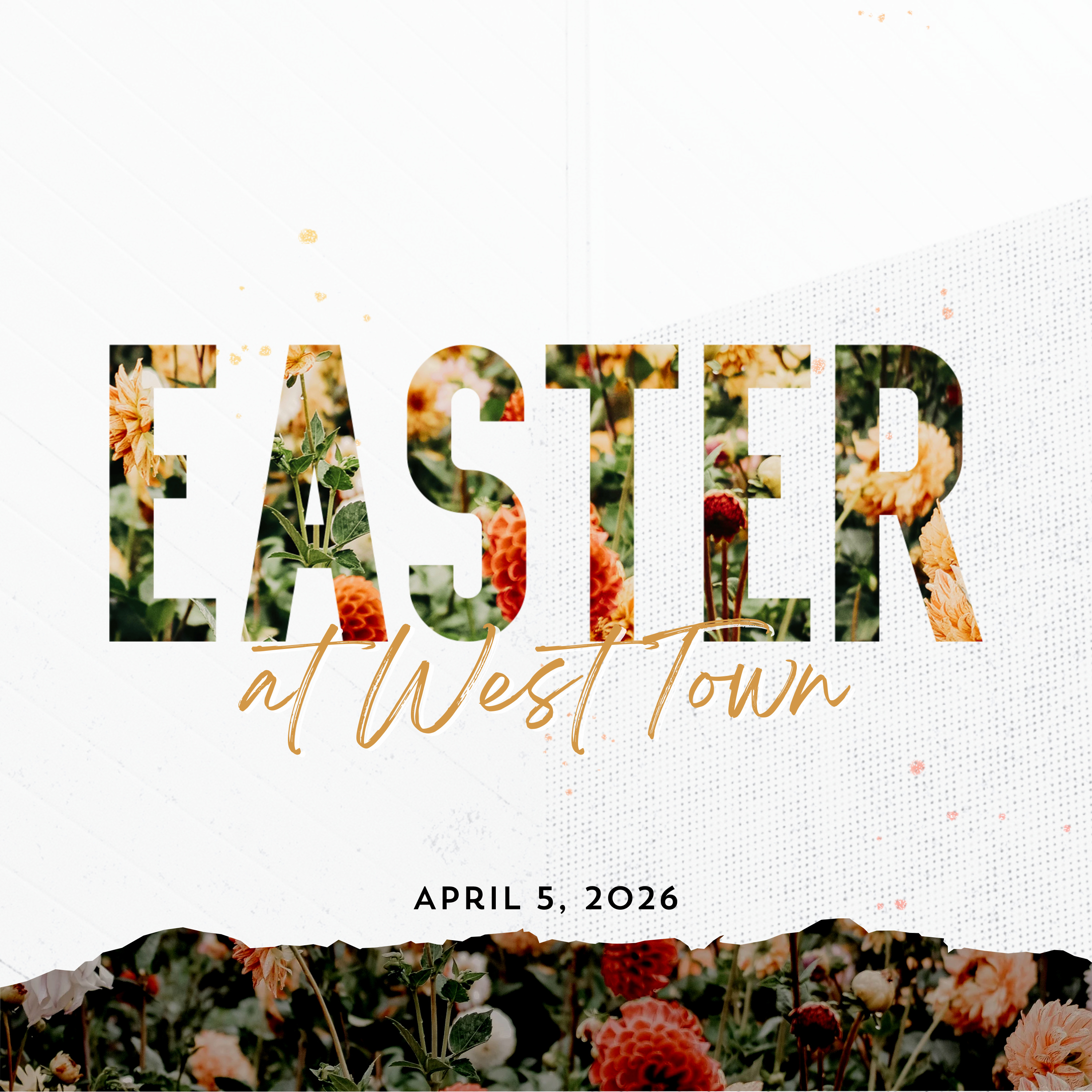 Raised to Walk Like Jesus (Easter Sunday) | Steve Warner episode artwork