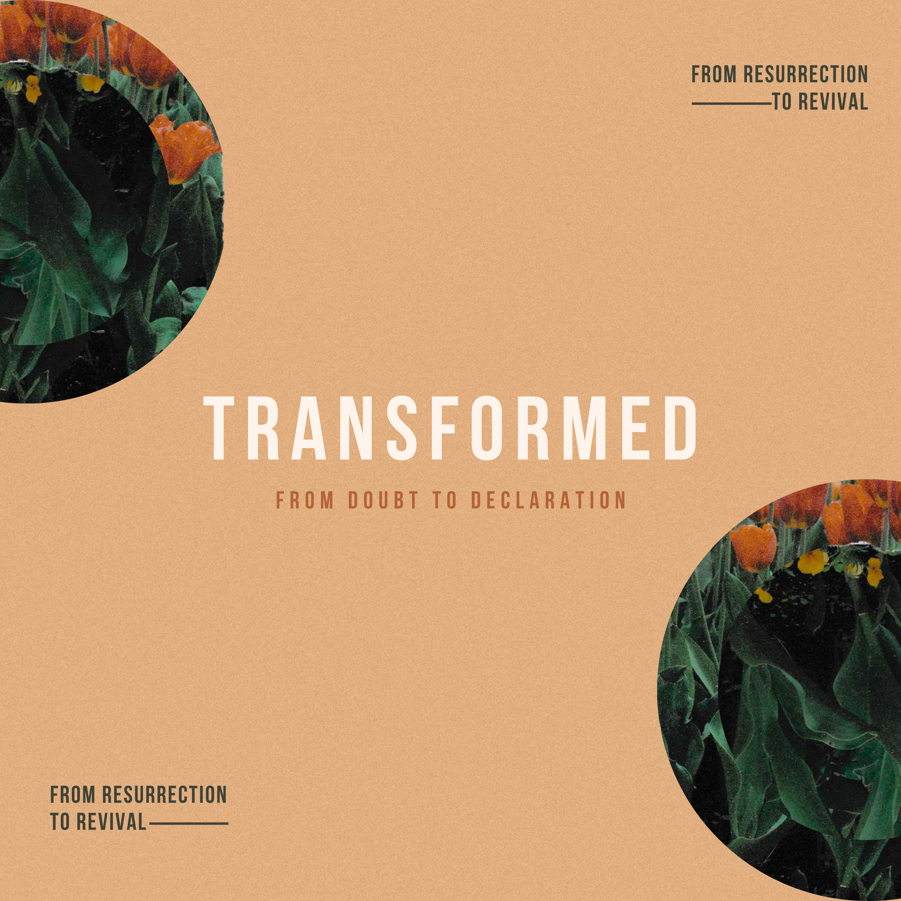 From Doubt to Declaration | Steve Warner episode artwork