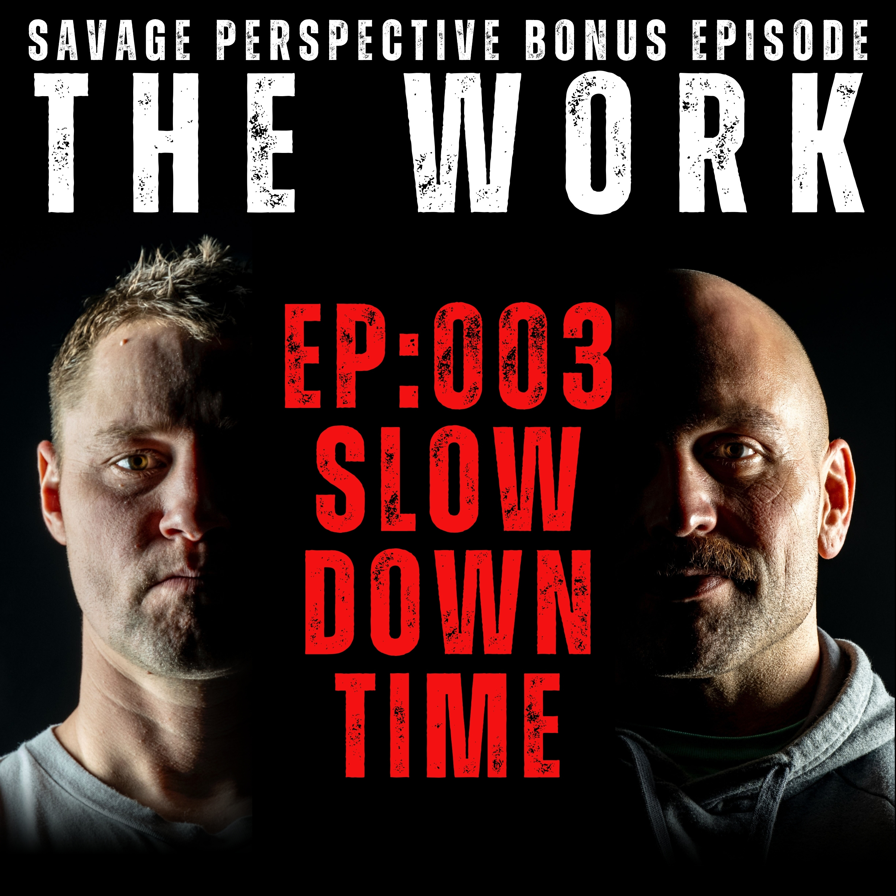 cover of episode The Work Podcast Episode 003