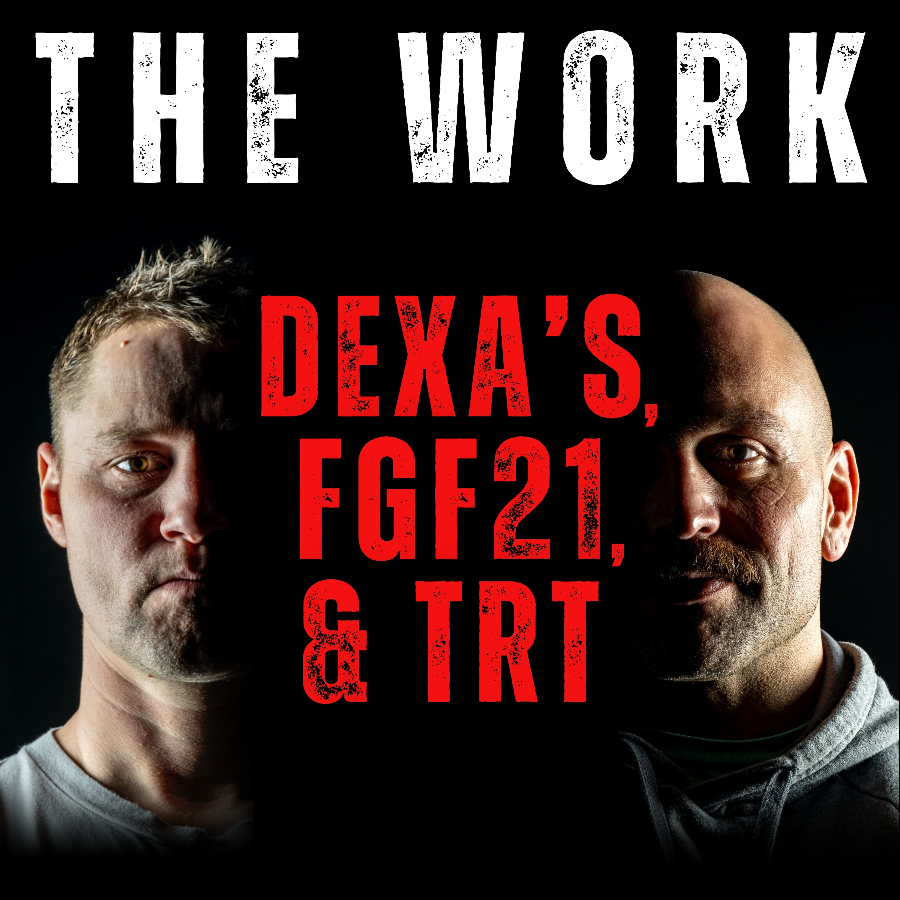 cover of episode The Work Episode 11 - DEXA's, FGF21 & TRT