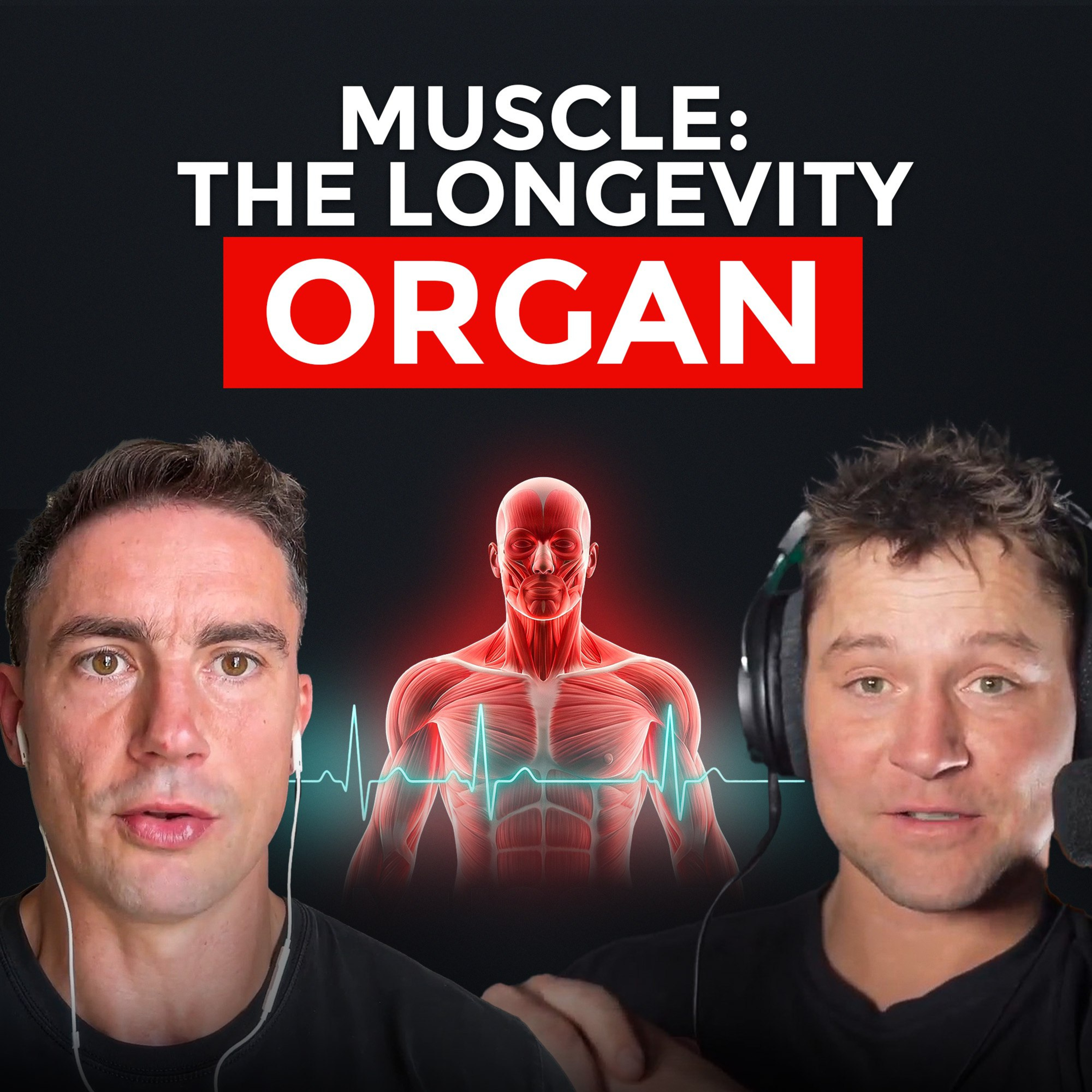 Maximize Muscle Gain & Fat Loss: The Secrets You Need to Know!