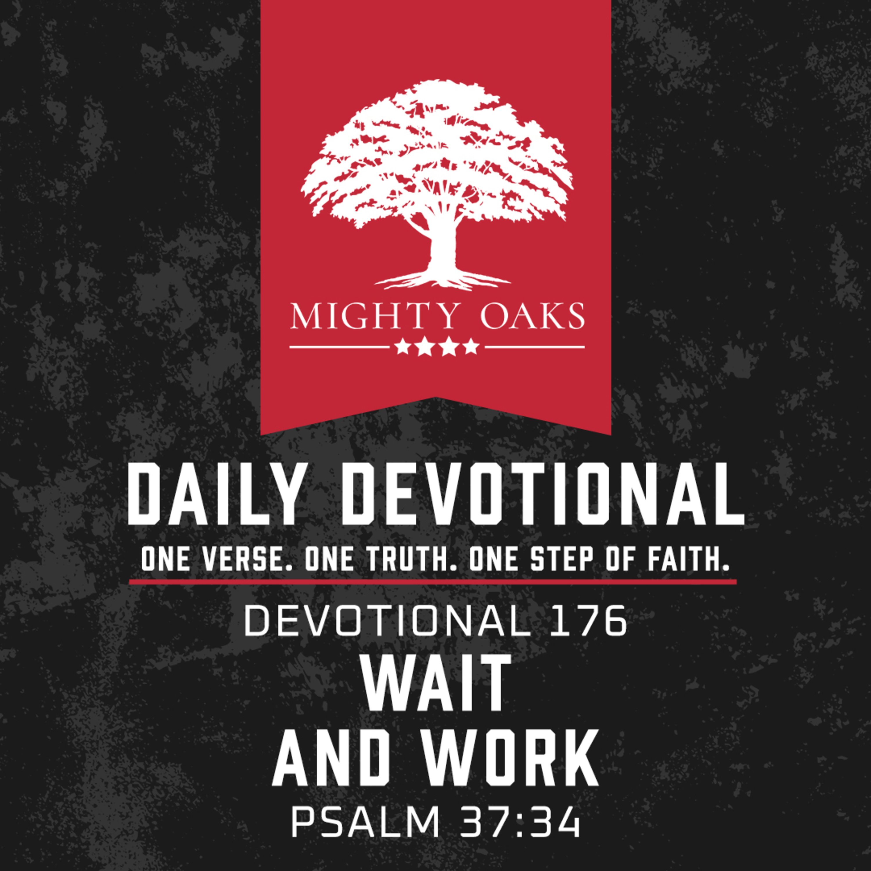Wait and Work | Psalm 37:34 episode artwork
