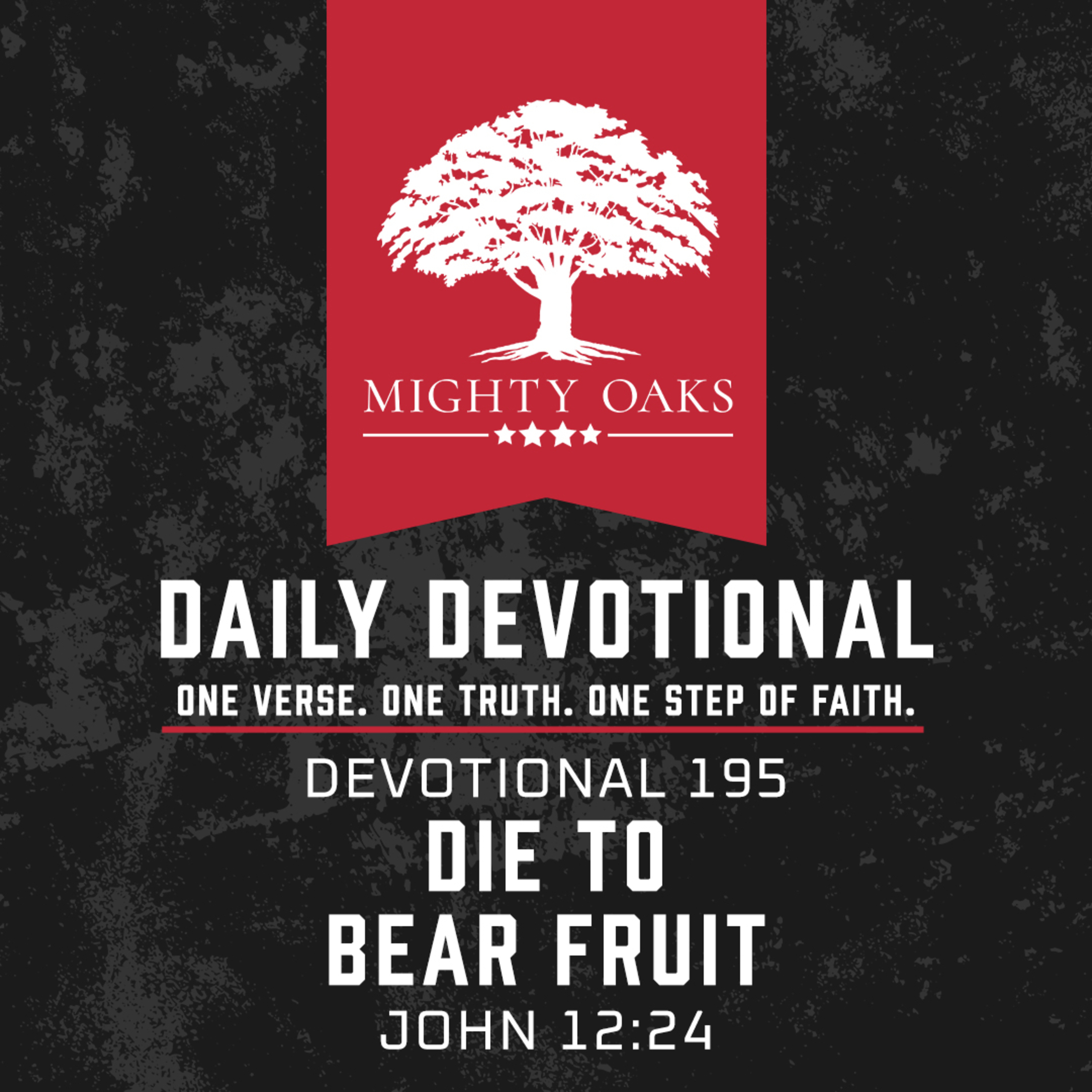 Die to Bear Fruit | John 12:24 episode artwork