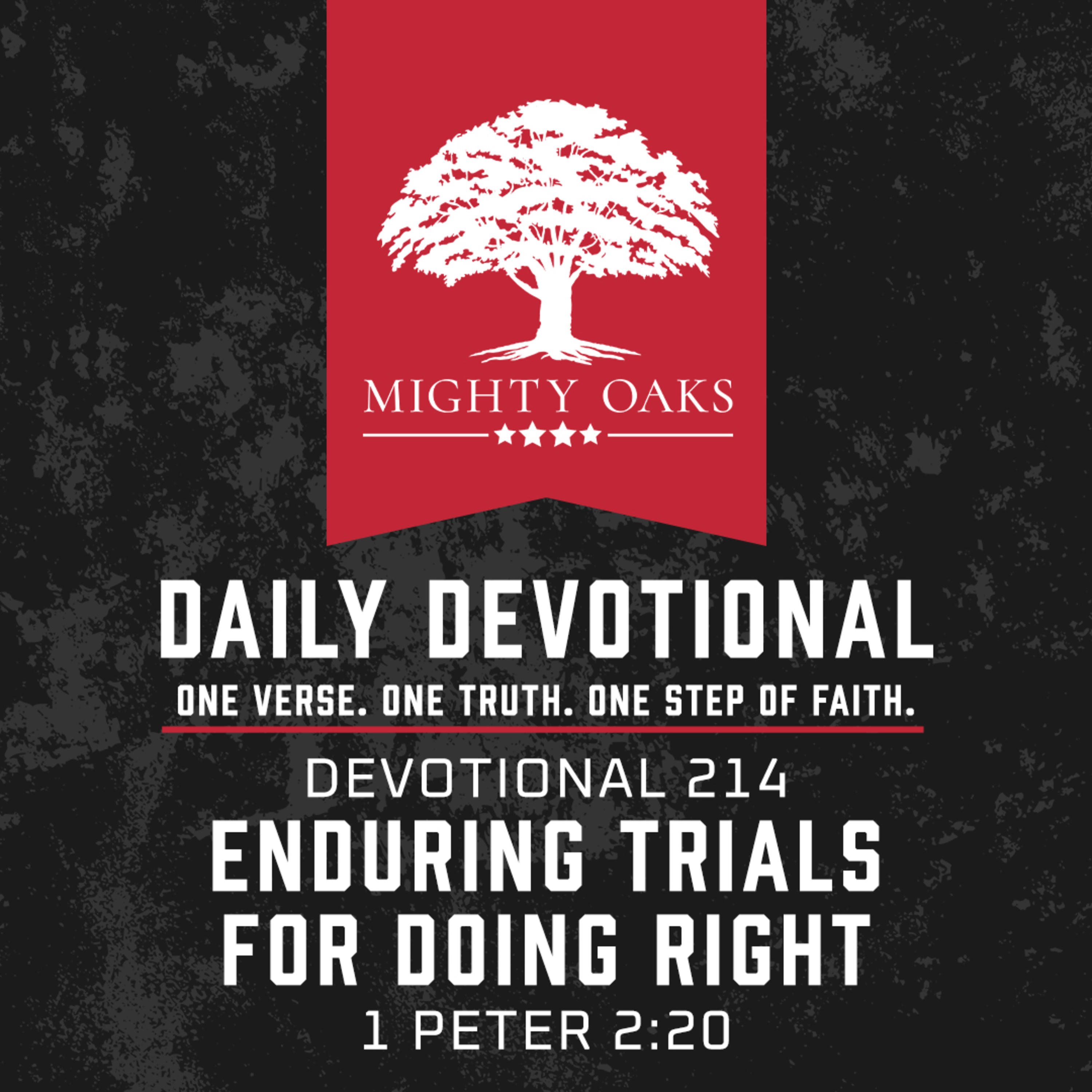 Enduring Trials for Doing Right | 1 Peter 2:20 episode artwork
