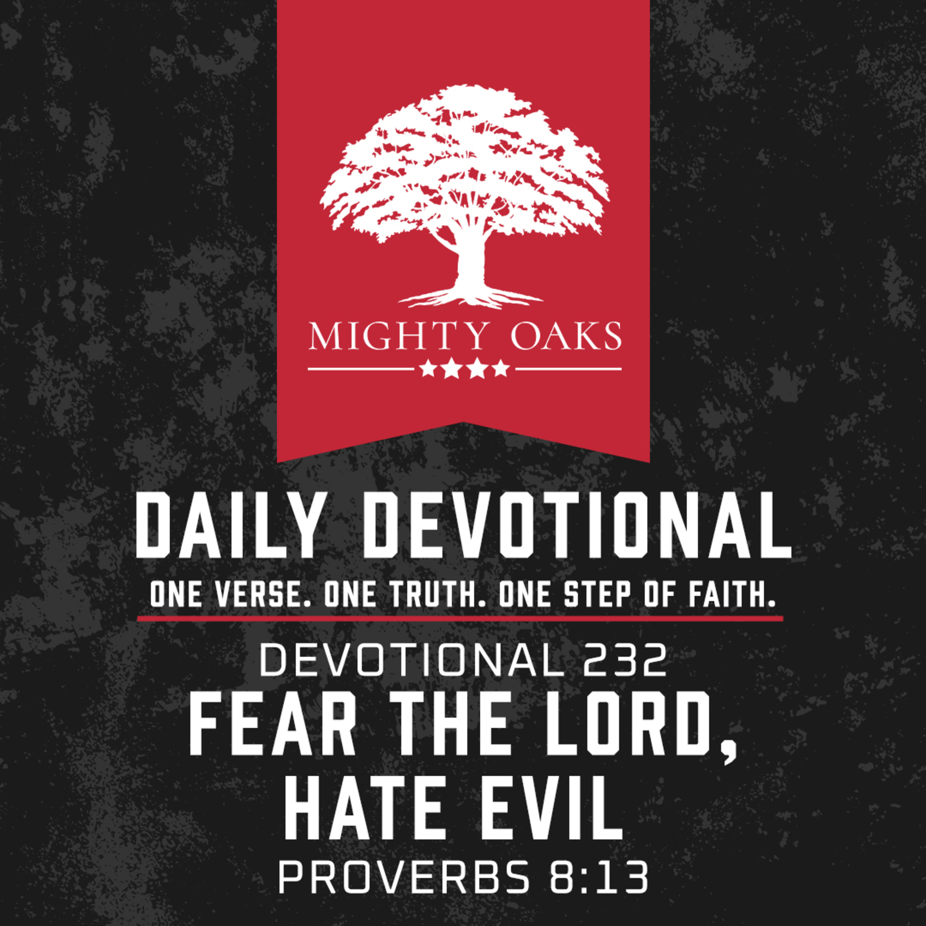 Fear the Lord, Hate Evil | Proverbs 8:13 episode artwork