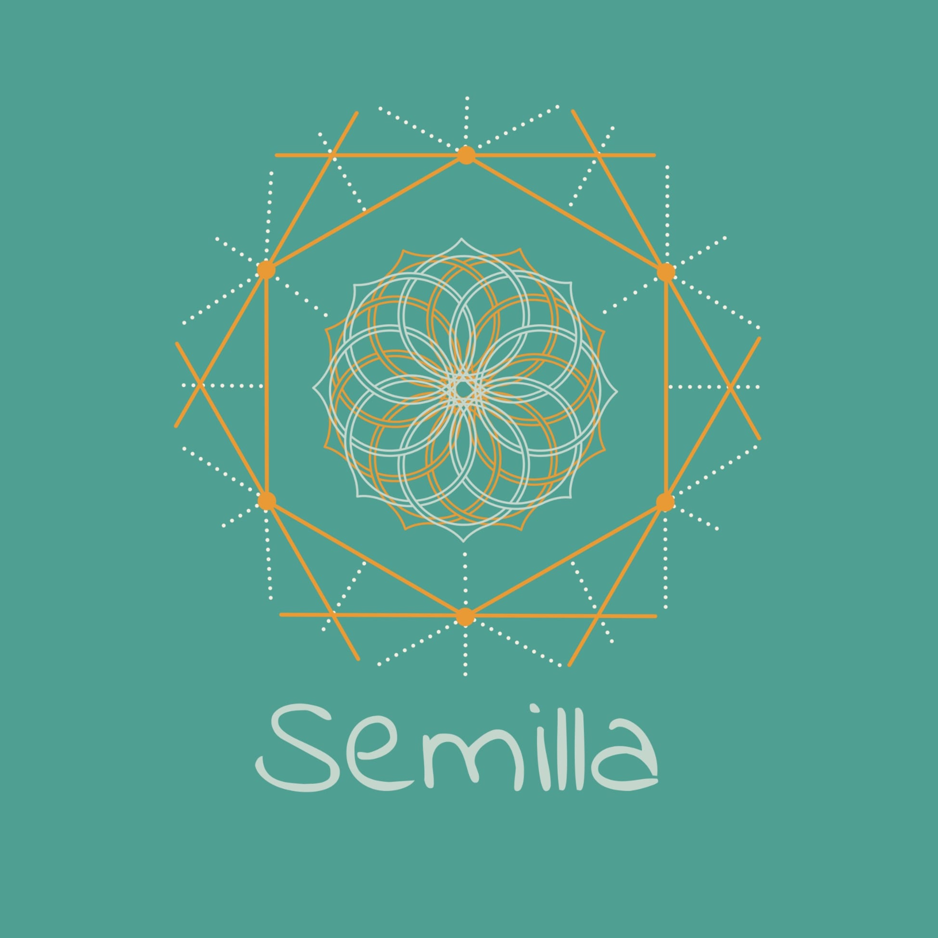 Semilla Transformando desde la Raíz