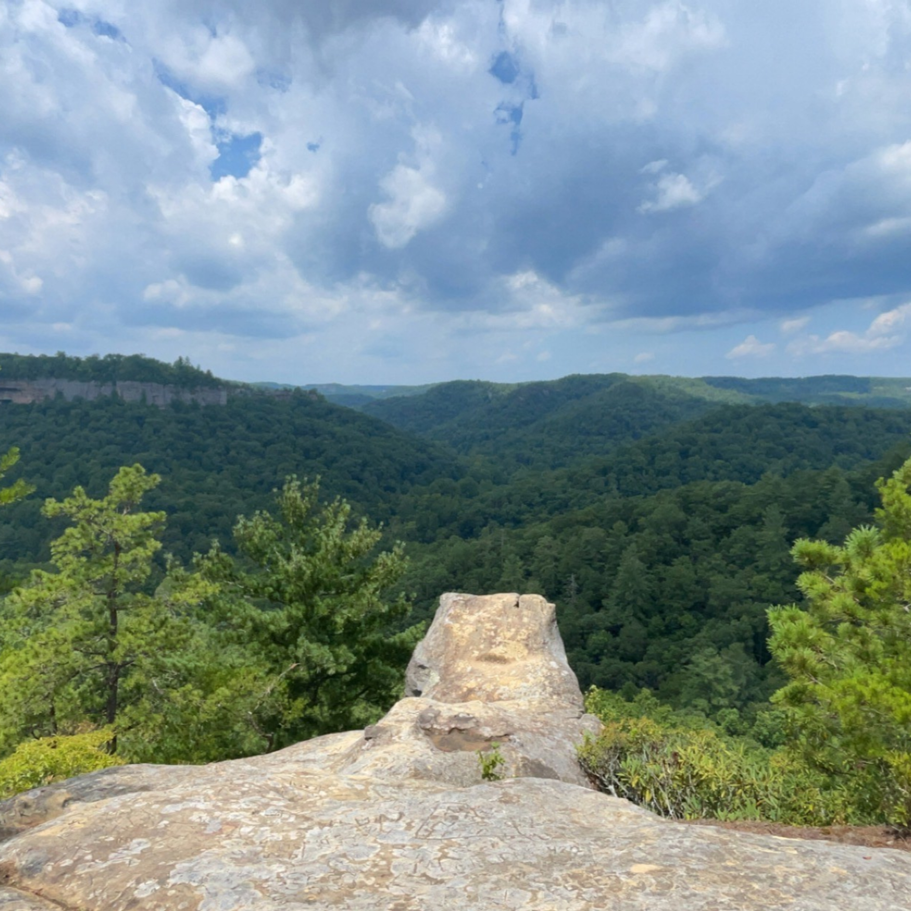 Be Good to Your Brother