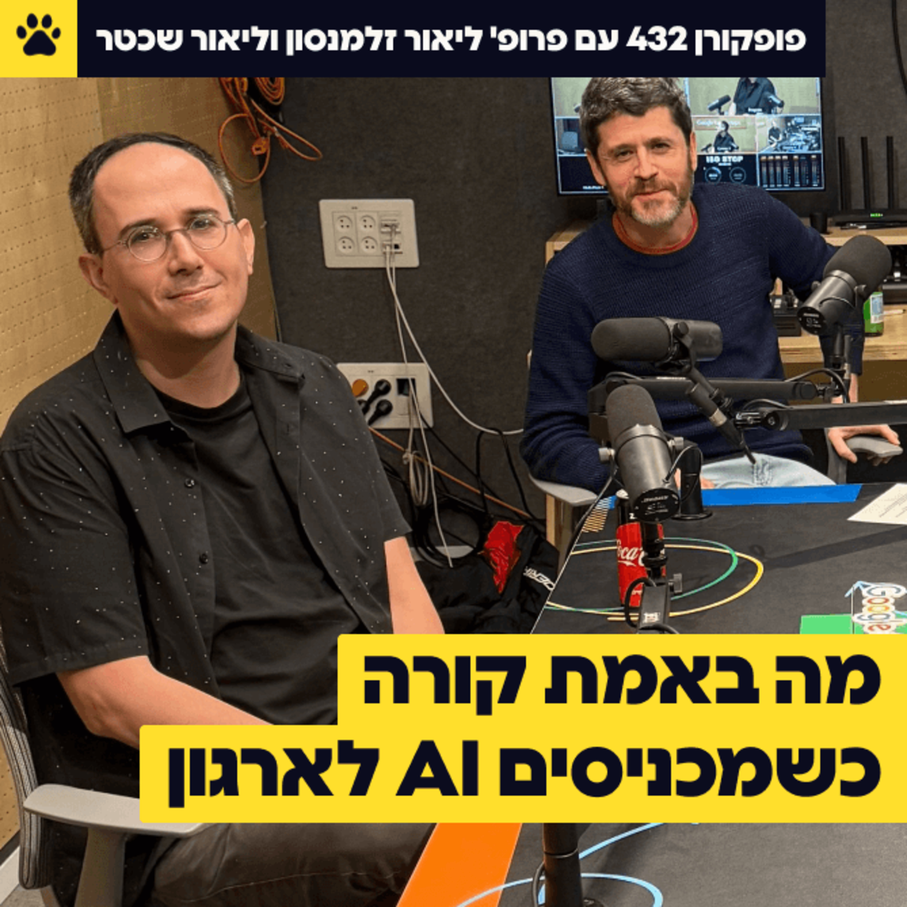מה באמת קורה כשמכניסים AI לארגון | מחקר של שנתיים בלי פילטרים | פרופ' ליאור זלמנסון וליאור שכטר – פופקורן 432