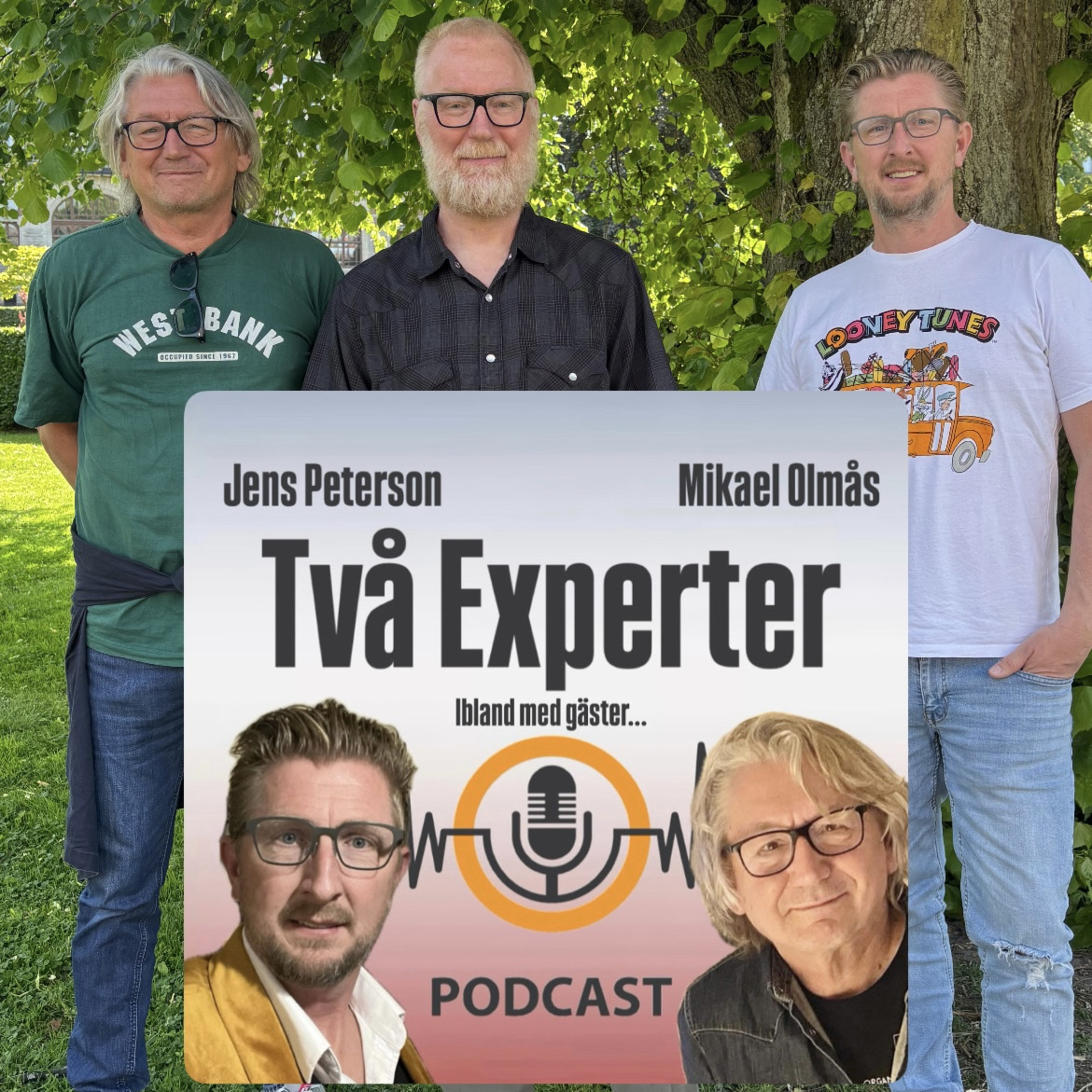 Två experter