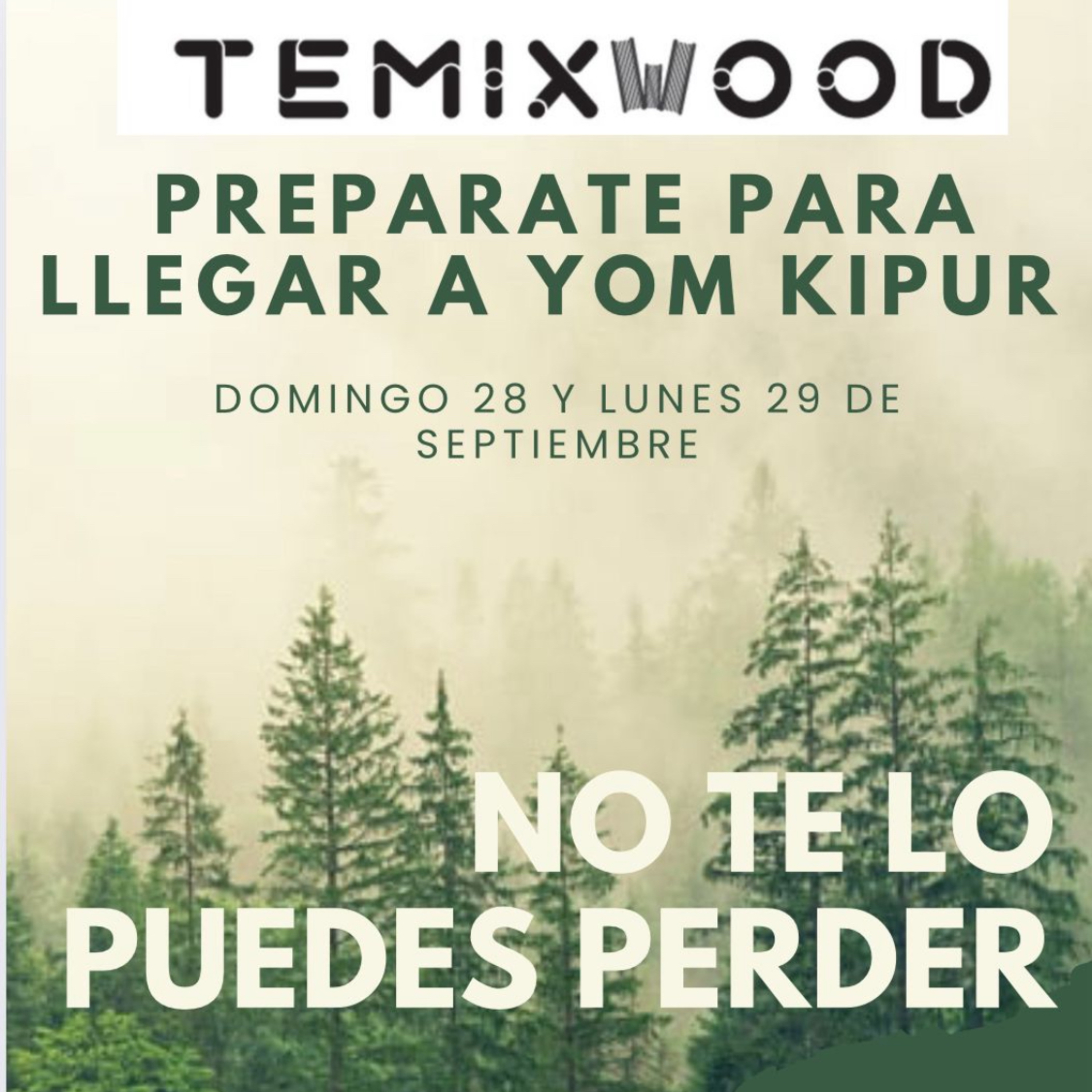 TALMUD TORA MONTE SINAI