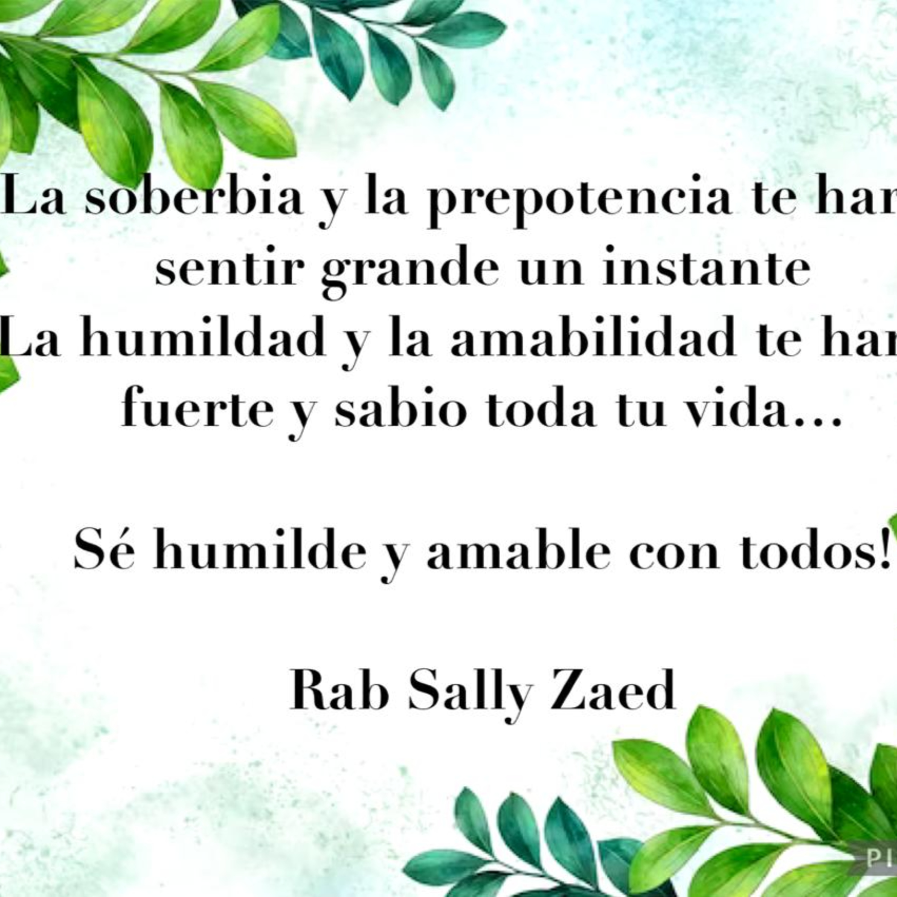 RAB SALLY ZAED- MANTENER LA CALMA EN MOMENTOS DIFICILES episode artwork
