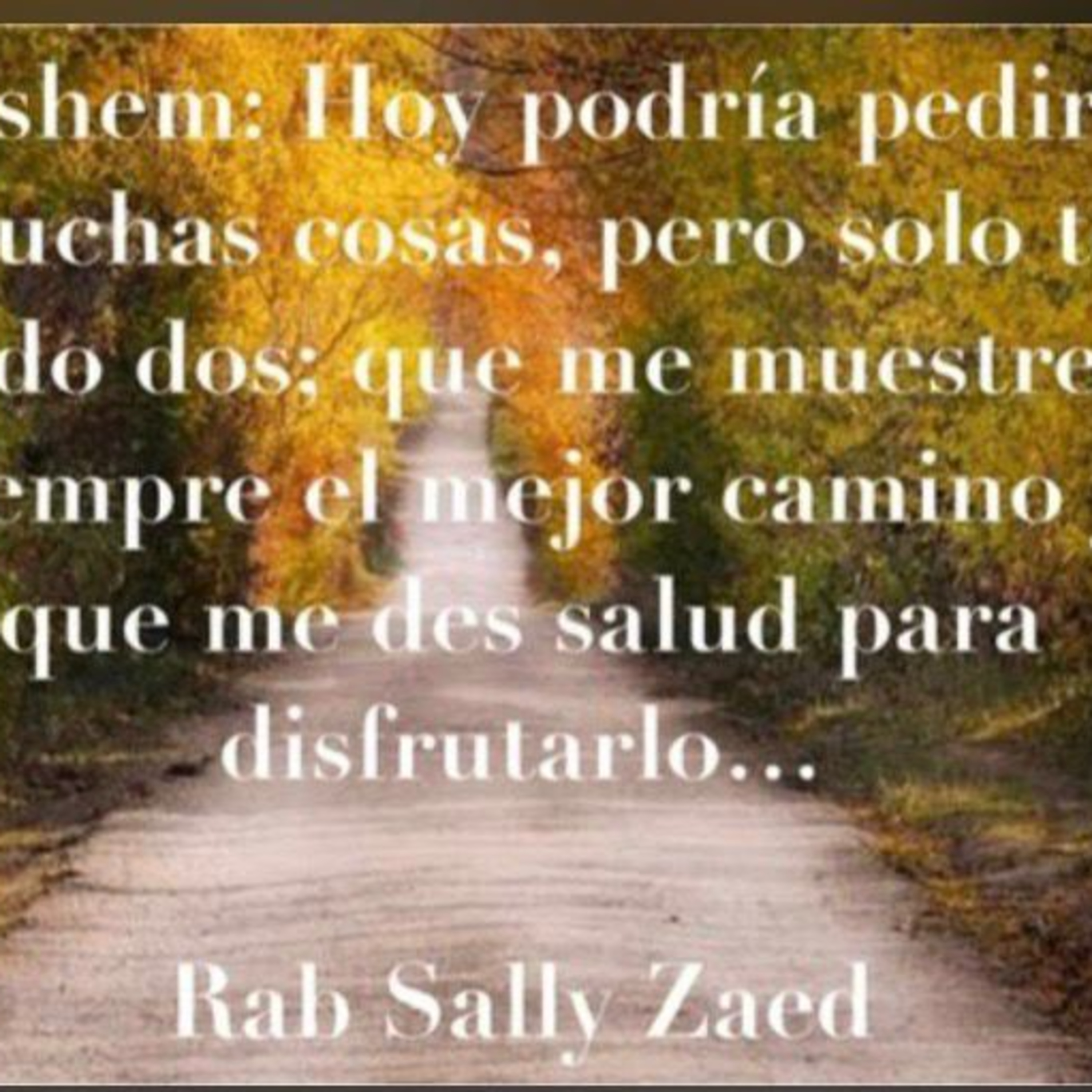 RAB SALLY ZAED- HASHEM SOLO TE PIDO DOS COSAS episode artwork