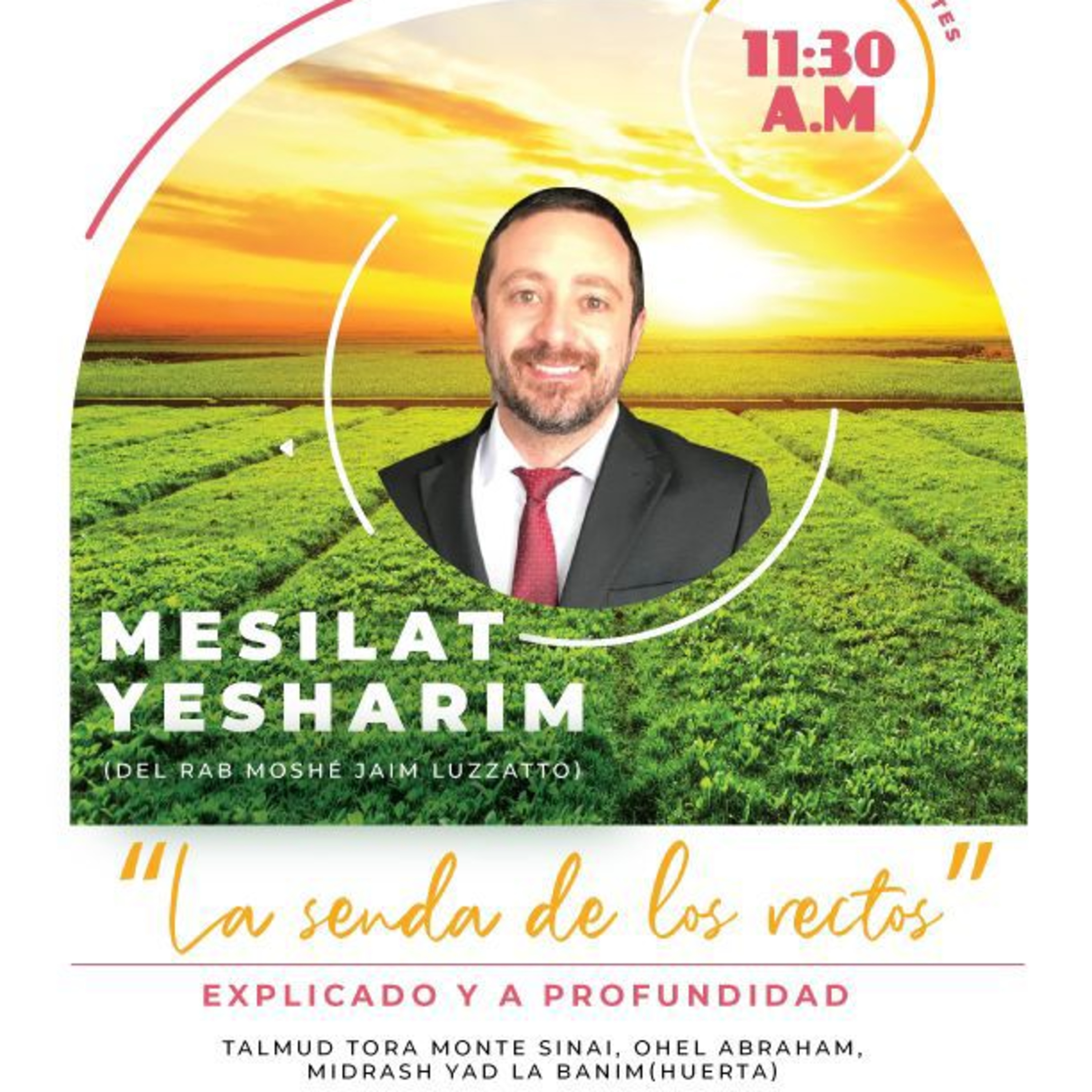 RAB DAVID HANONO- CURSO MESILAT YESHARIM- 34 episode artwork