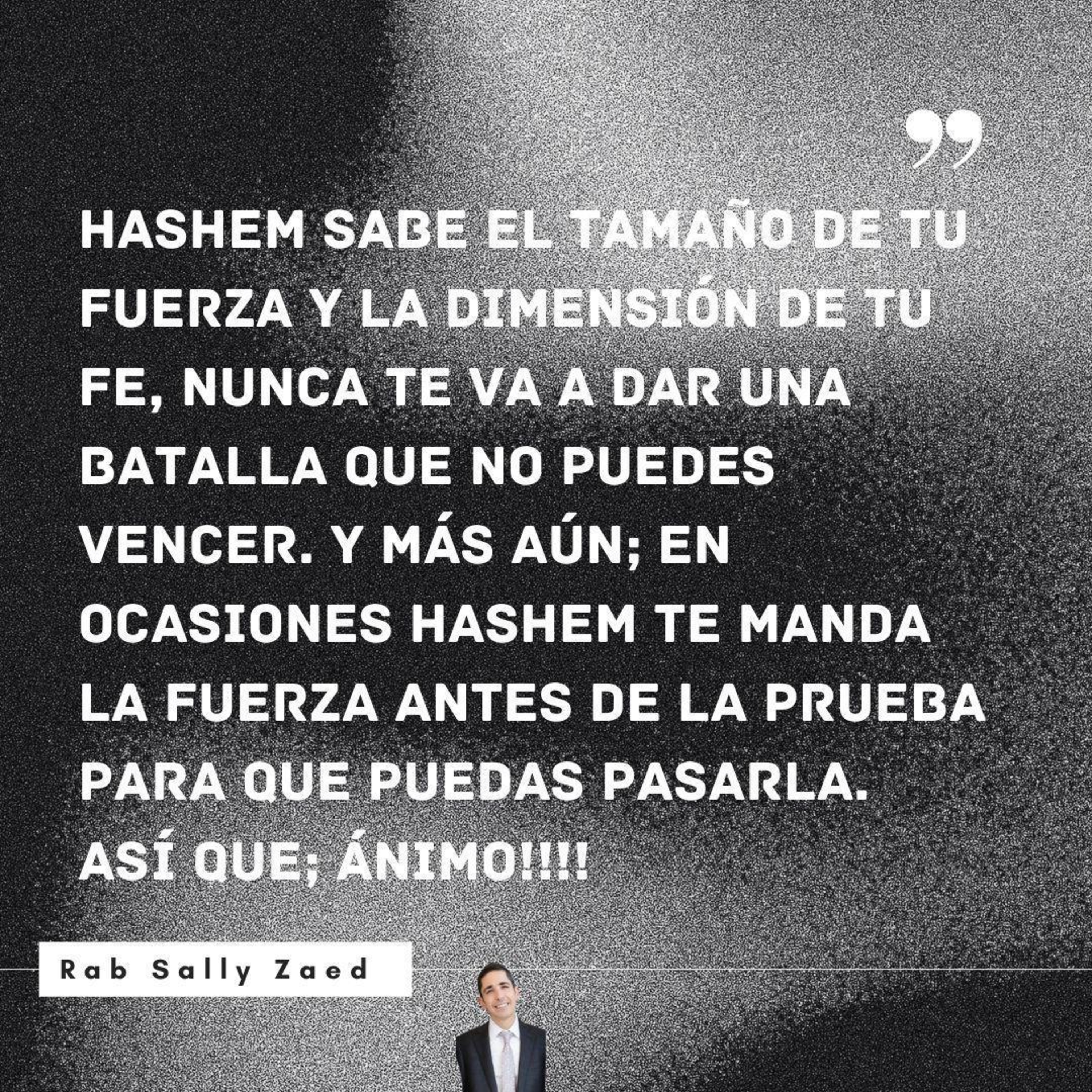 RAB SALLY ZAED- HASHEM SABE TU BATALLA episode artwork