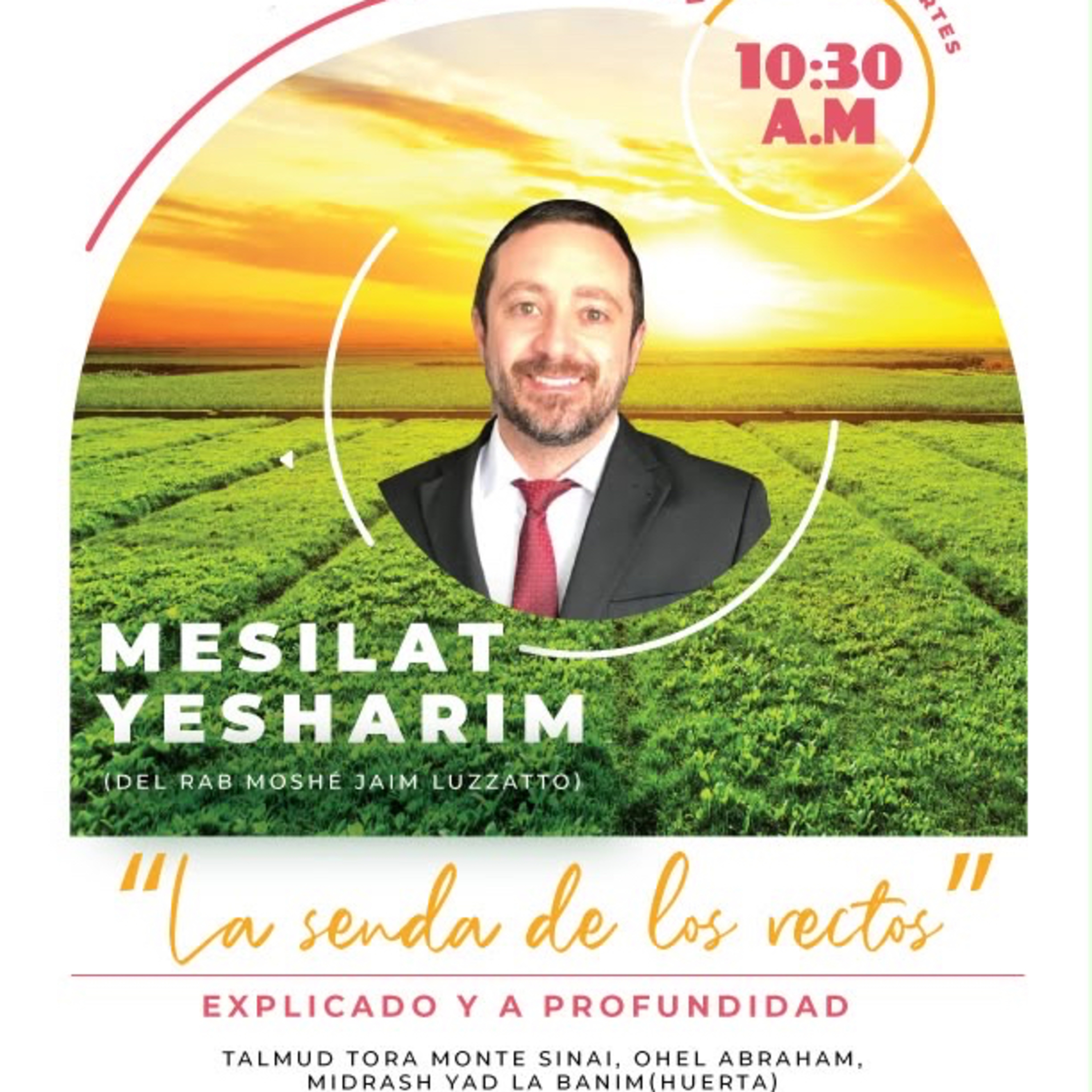 RAB DAVID HANONO- CURSO MESILAT YESHARIM- 35 episode artwork