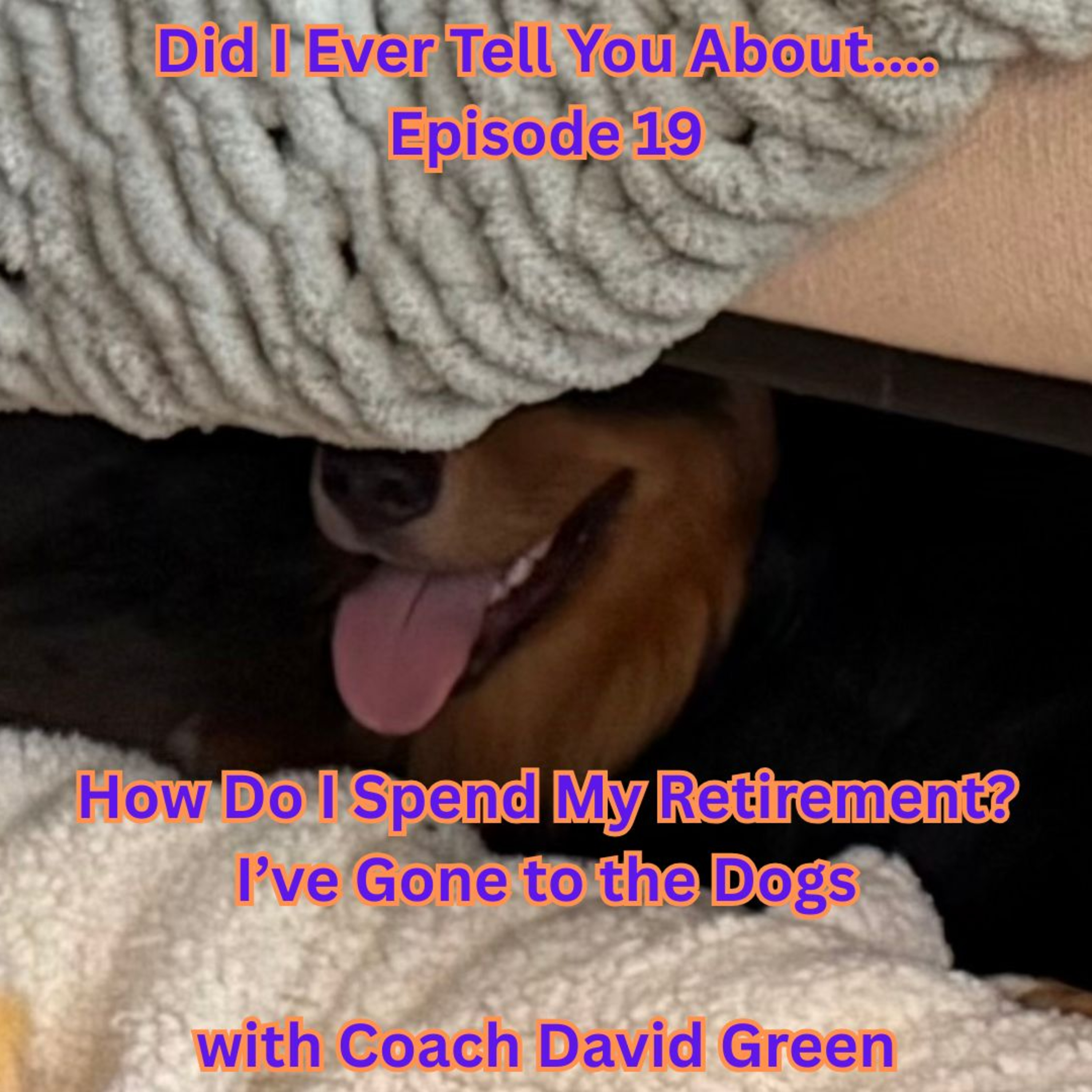 How Do I Spend My Retirement? Going to the Dogs  Episode 19 episode artwork