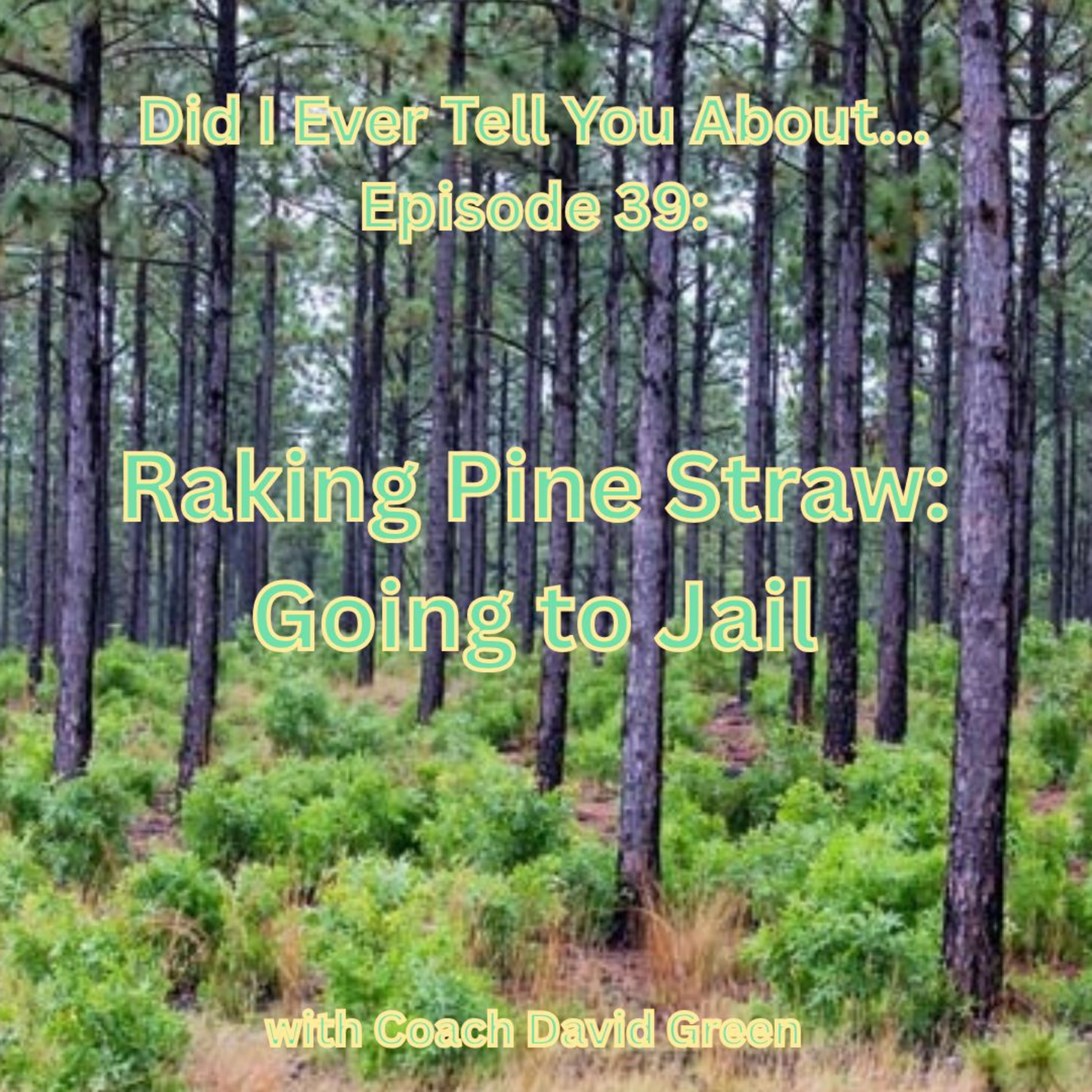 Raking Pine Straw: Going to Jail.    Episode 39 of Did i Ever Tell You About... episode artwork