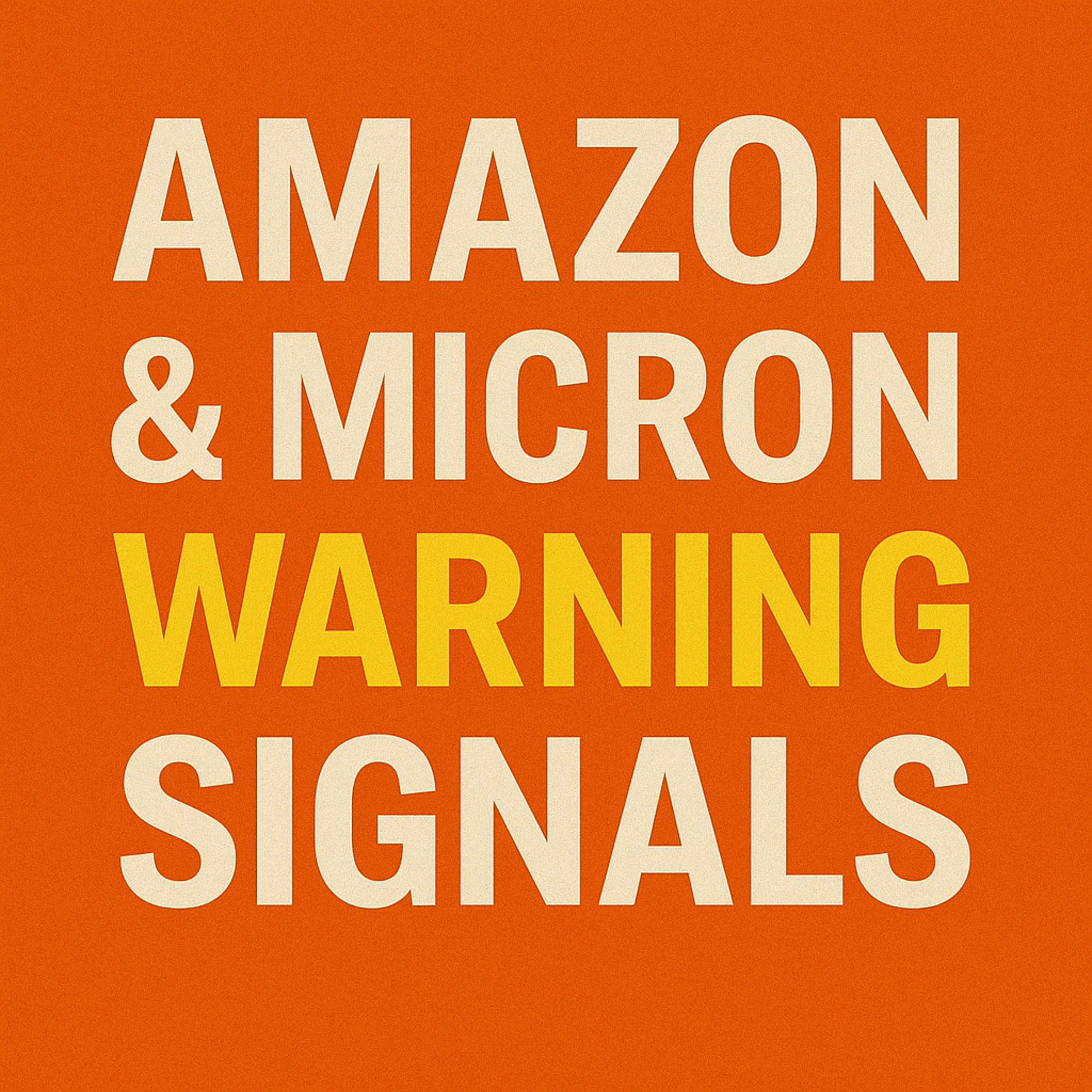 Cover for STOCKS DROP While Bitcoin SURGES to $113K - Amazon & Micron WARNING Signals