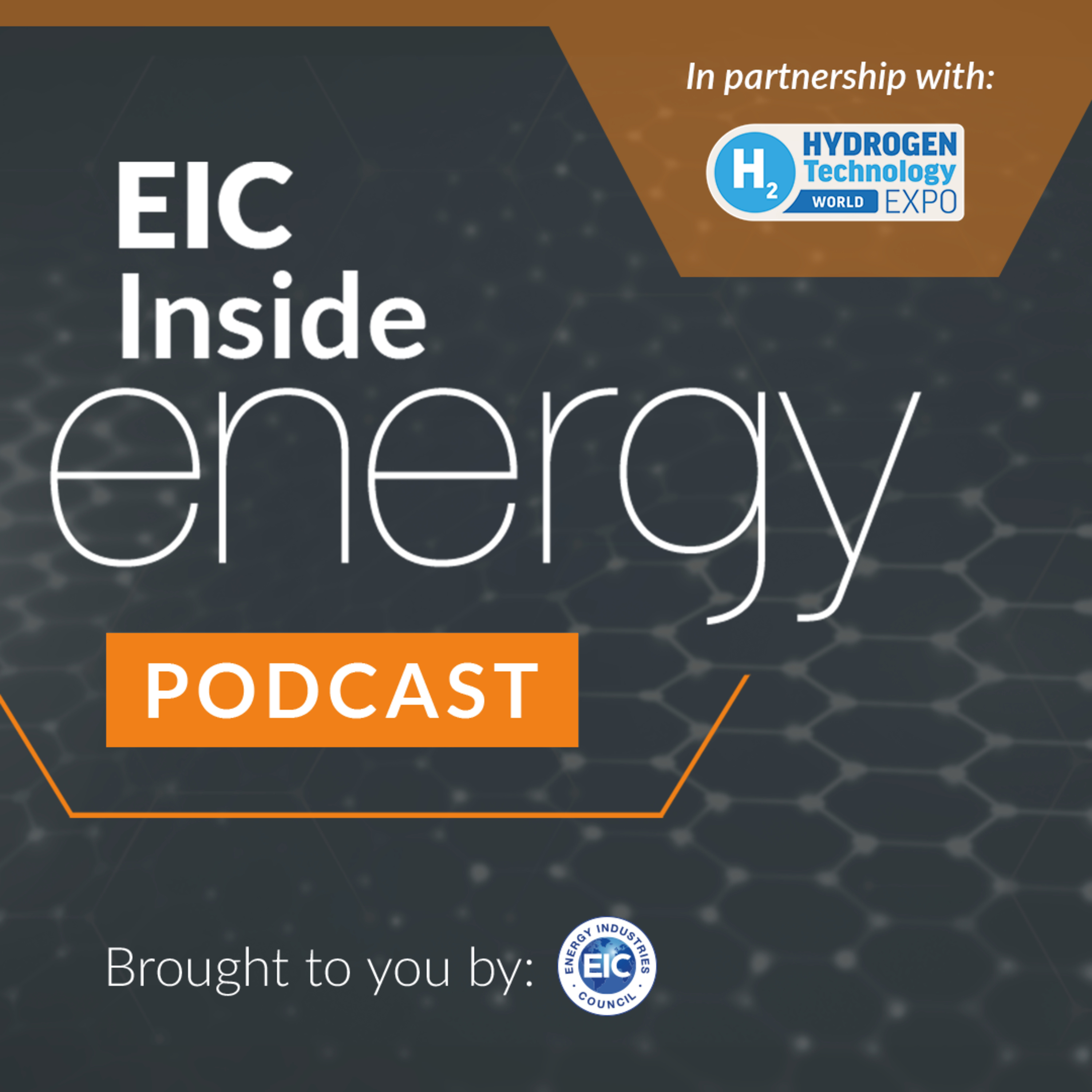 Hydrogen’s New Reality: Jan Rispens, Renewable Energy Hamburg