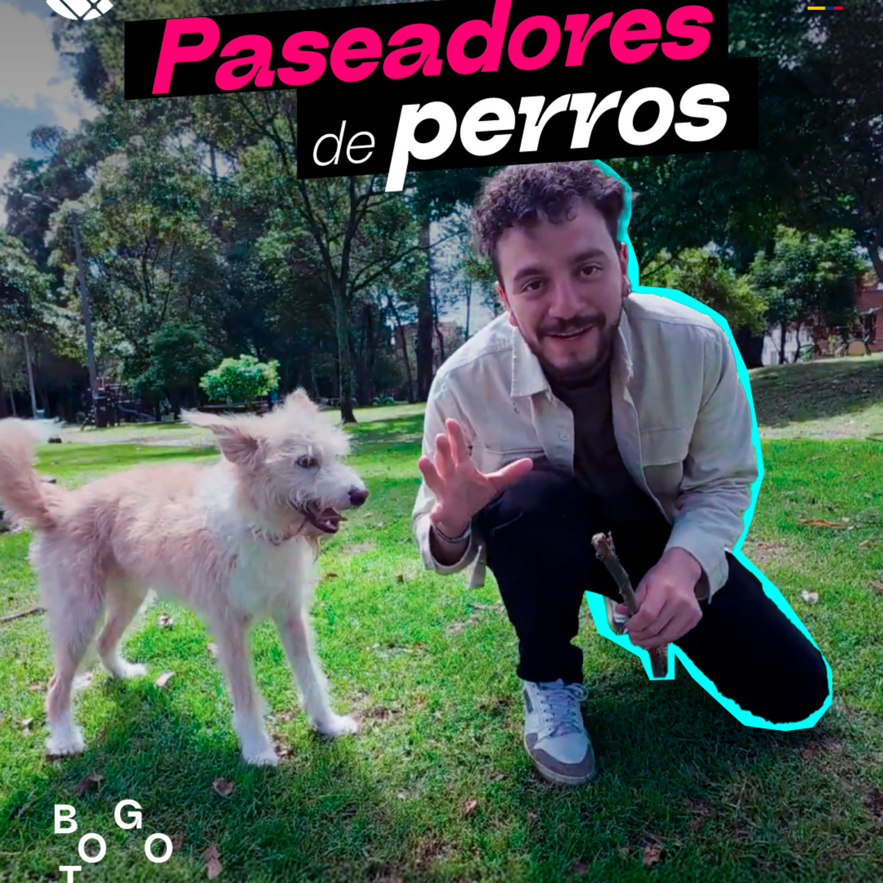 Los paseadores de perros cuidan a las mascotas y conectan vidas | Bogotario  episode artwork