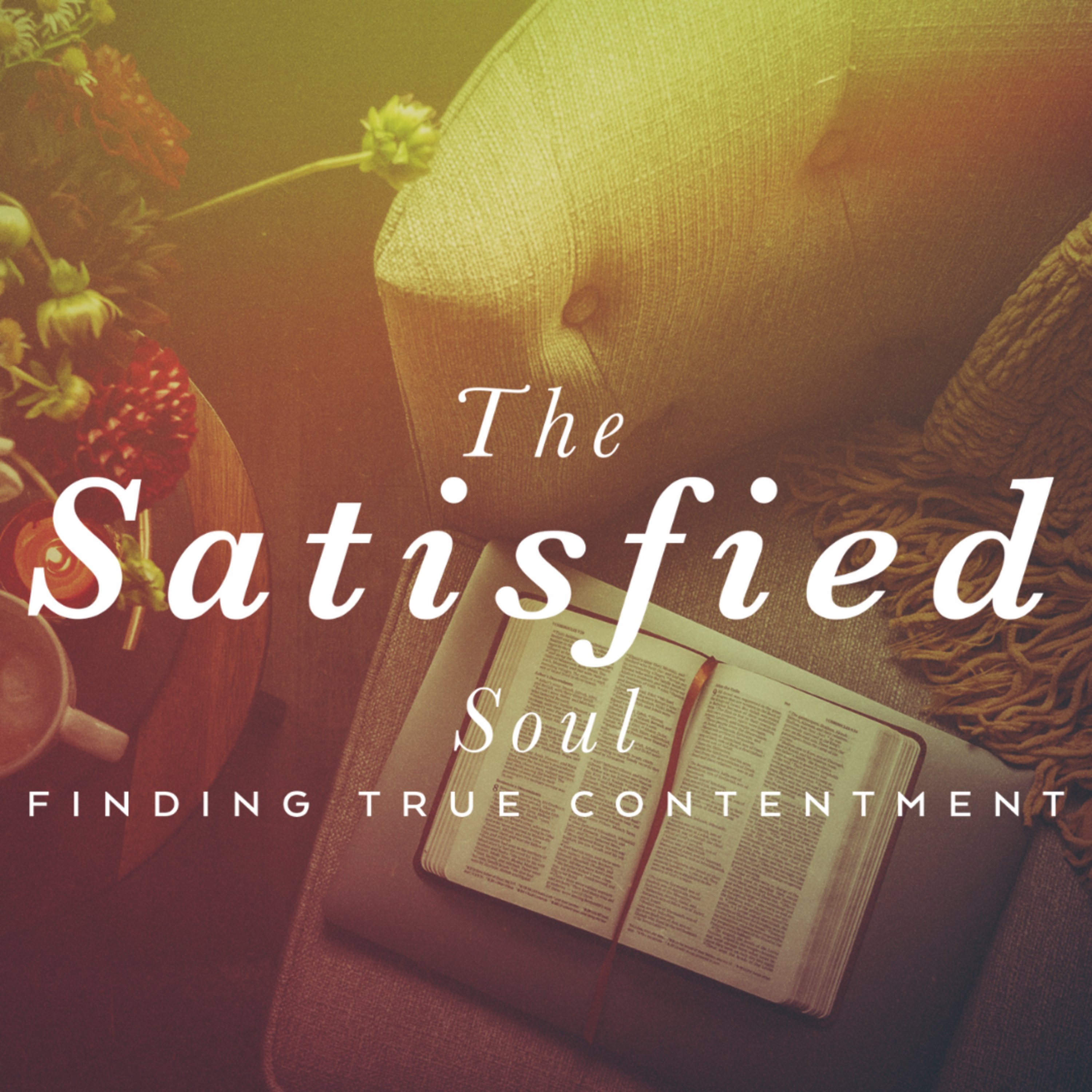 What Does It Take For Me To Be Satisfied? episode artwork
