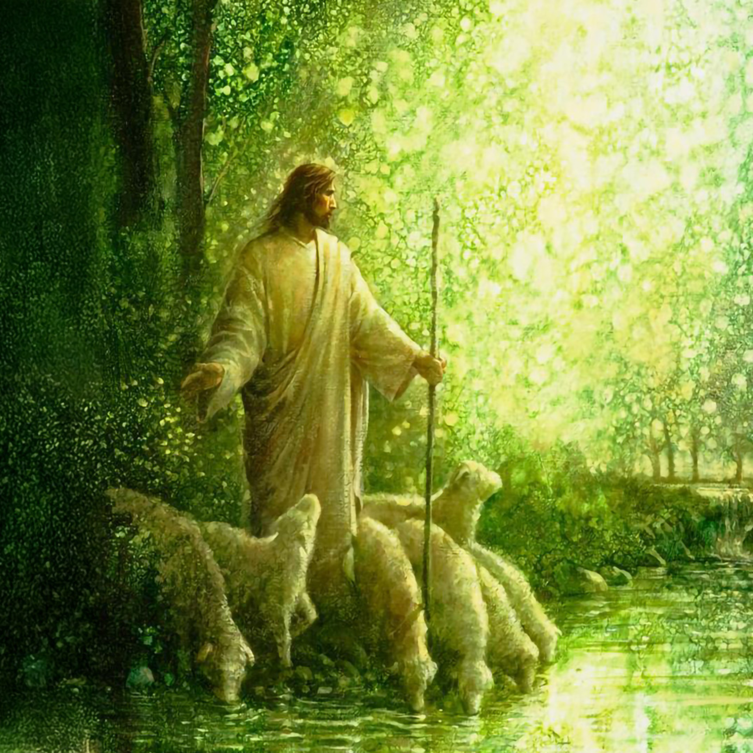 Be Still With God's Word [1 Hour]