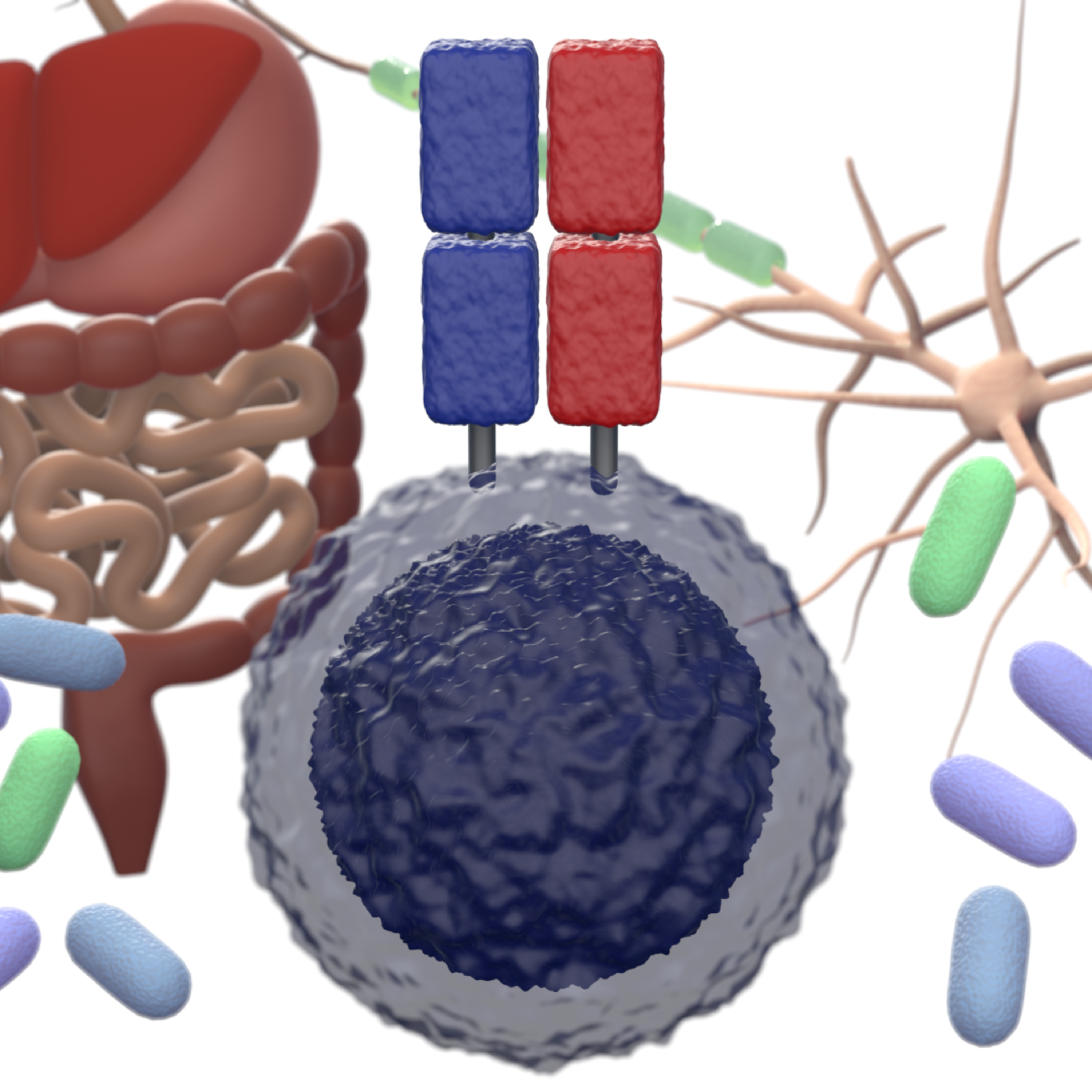 Koda-Koda\'s Weekly Immunology News
