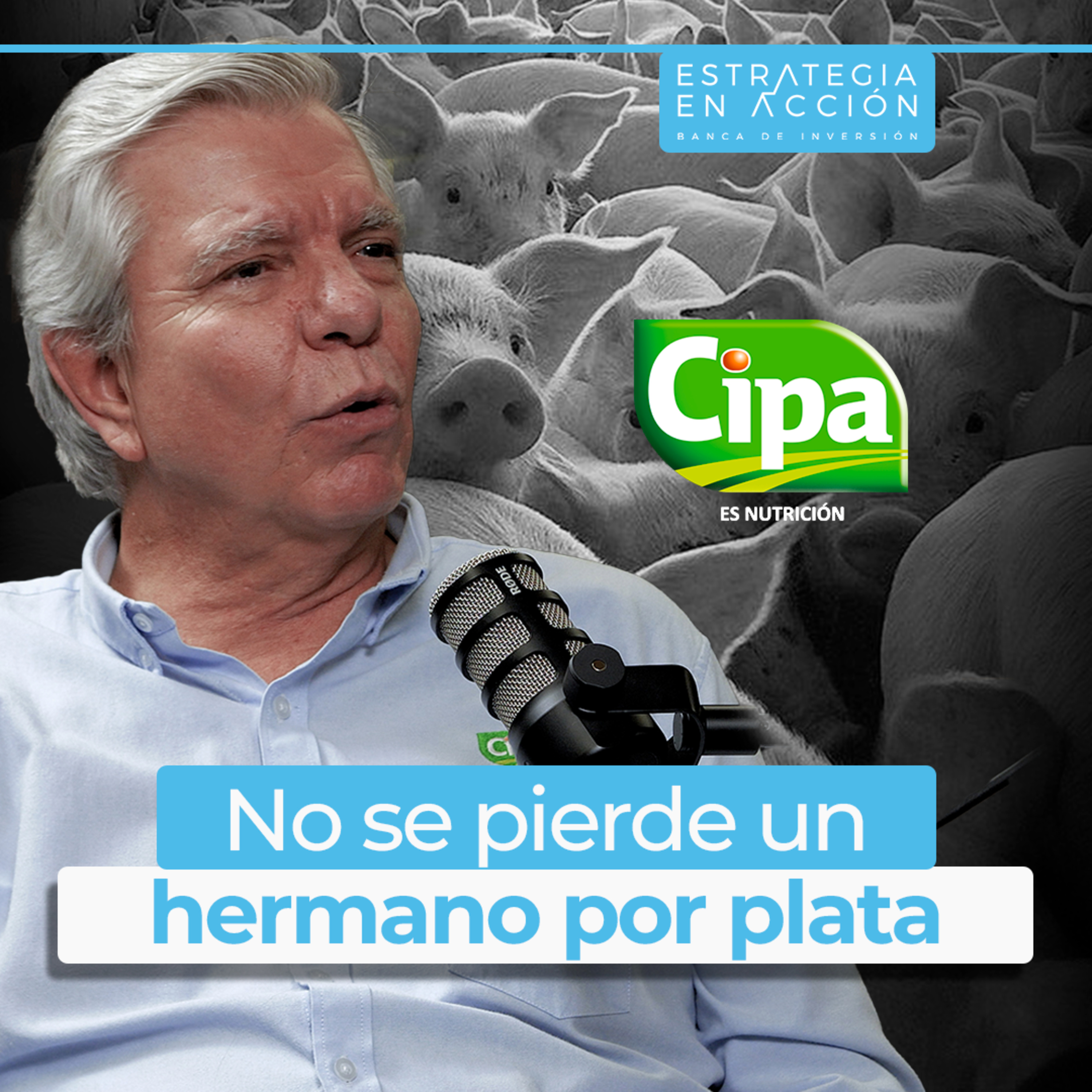 Estrategia en Accion